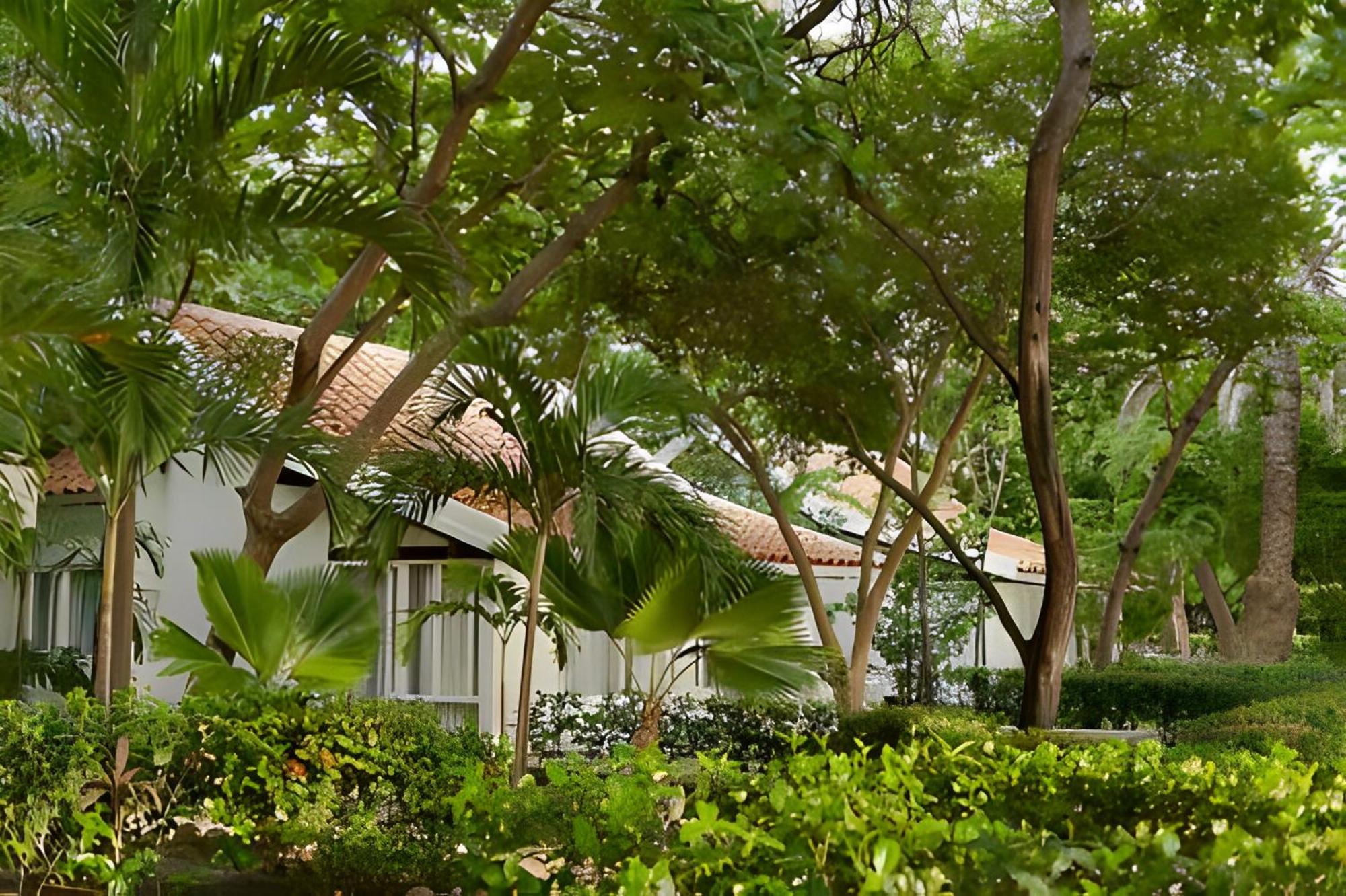 Standard Bungalow photo 3