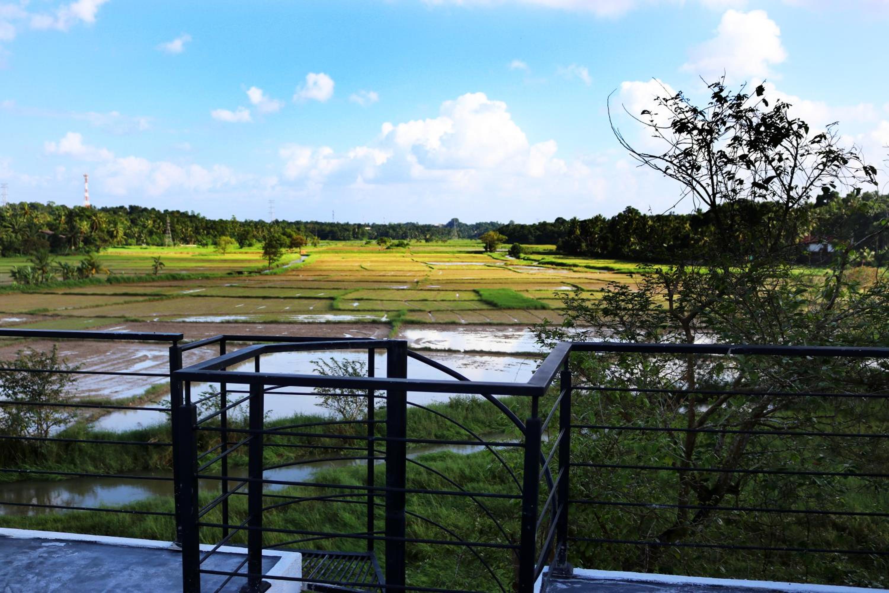 Bungalow - Water Front  photo 3