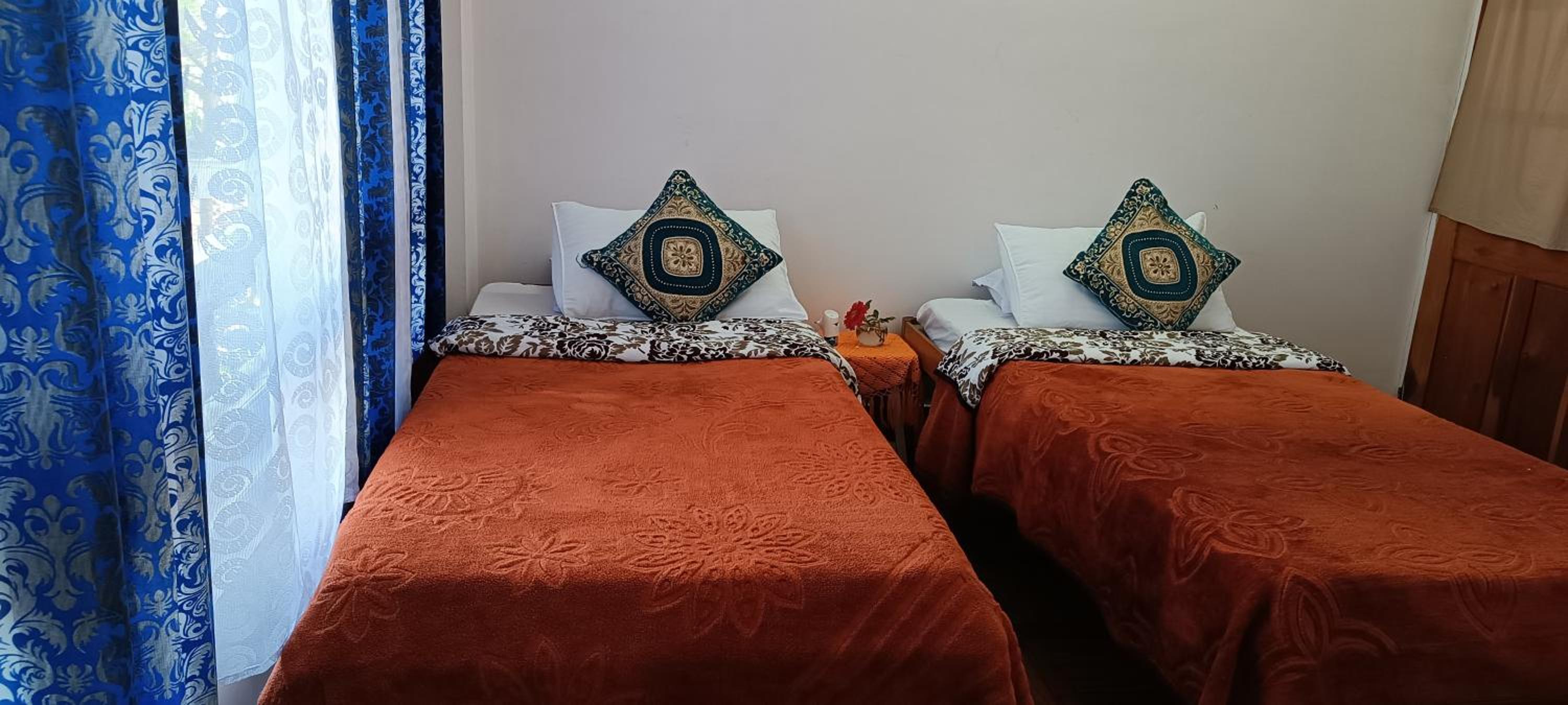 Deluxe Double or Twin Room photo 1
