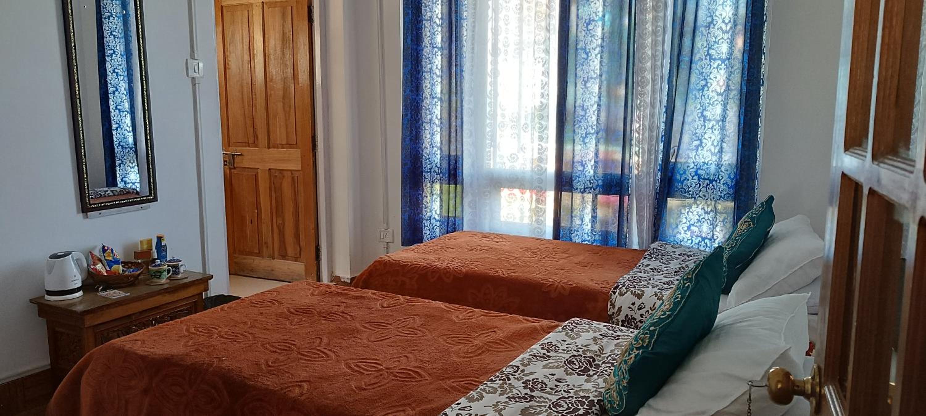 Deluxe Double or Twin Room photo 2