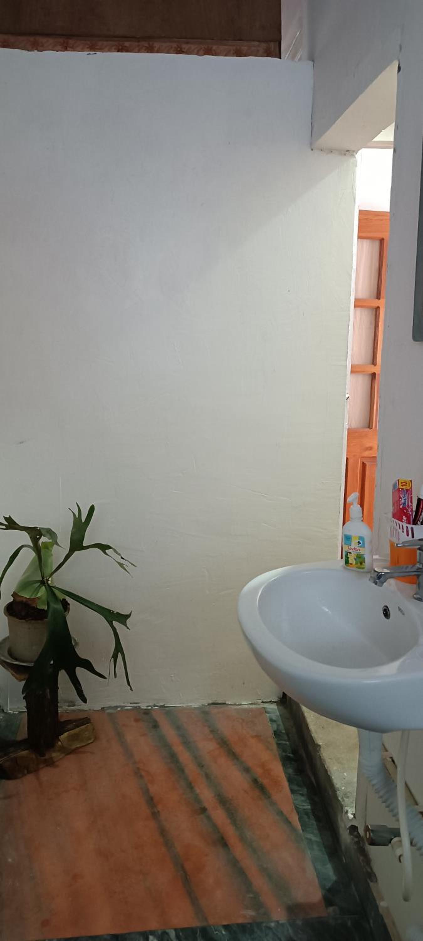 Standard Double Room with Shared Bathroom photo 3