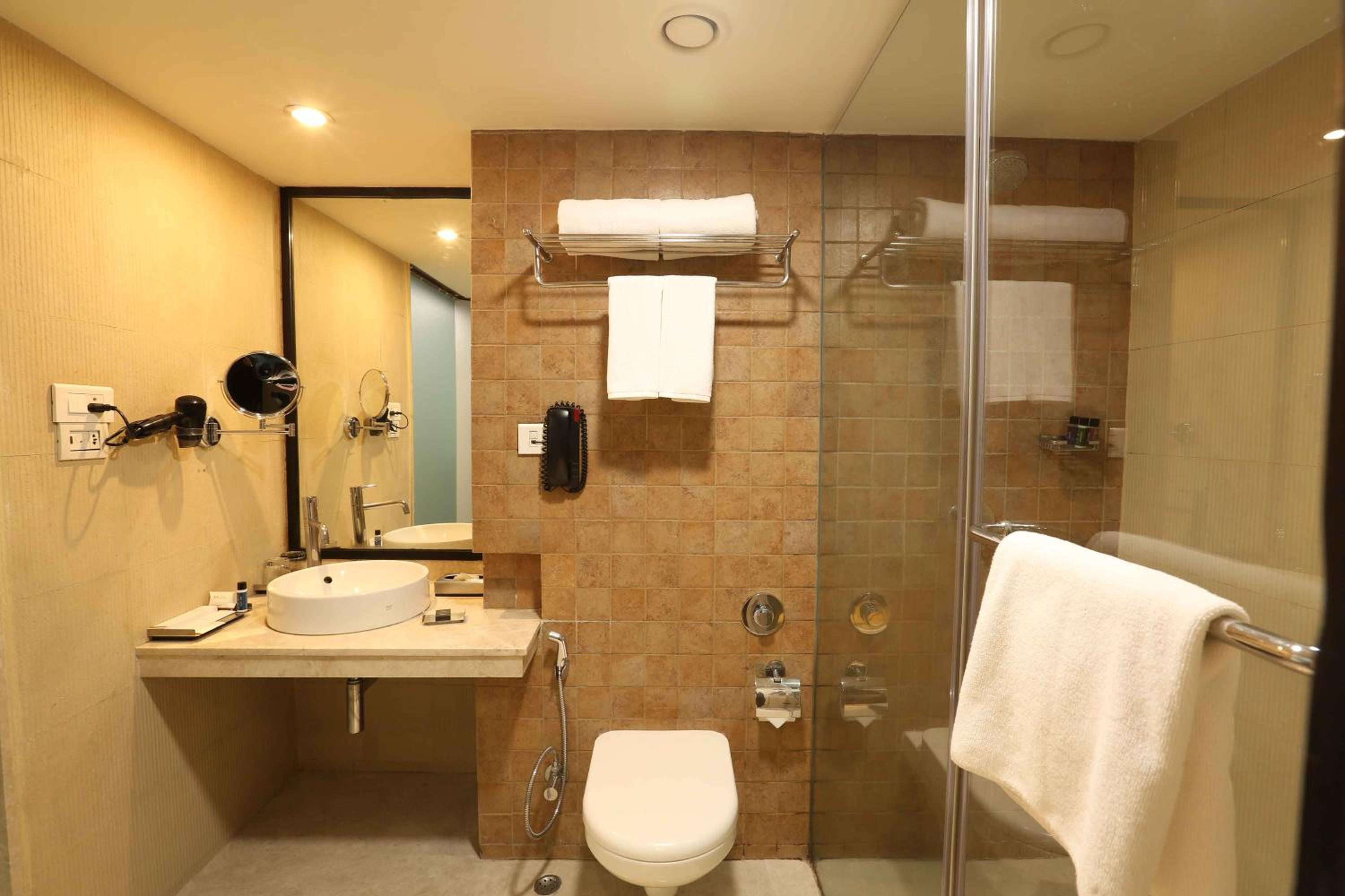 Deluxe Double or Twin Room photo 3