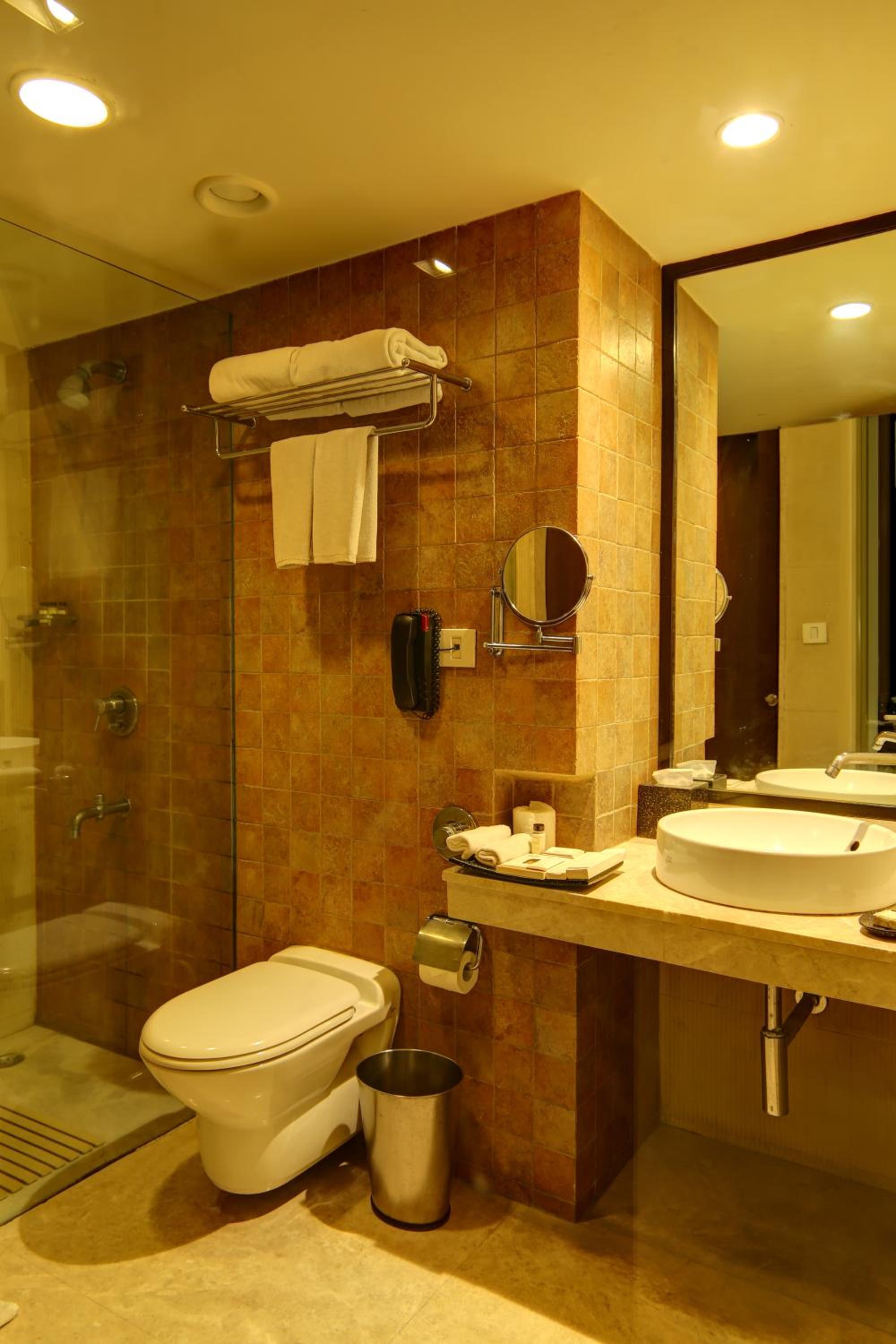 Deluxe Double or Twin Room photo 2