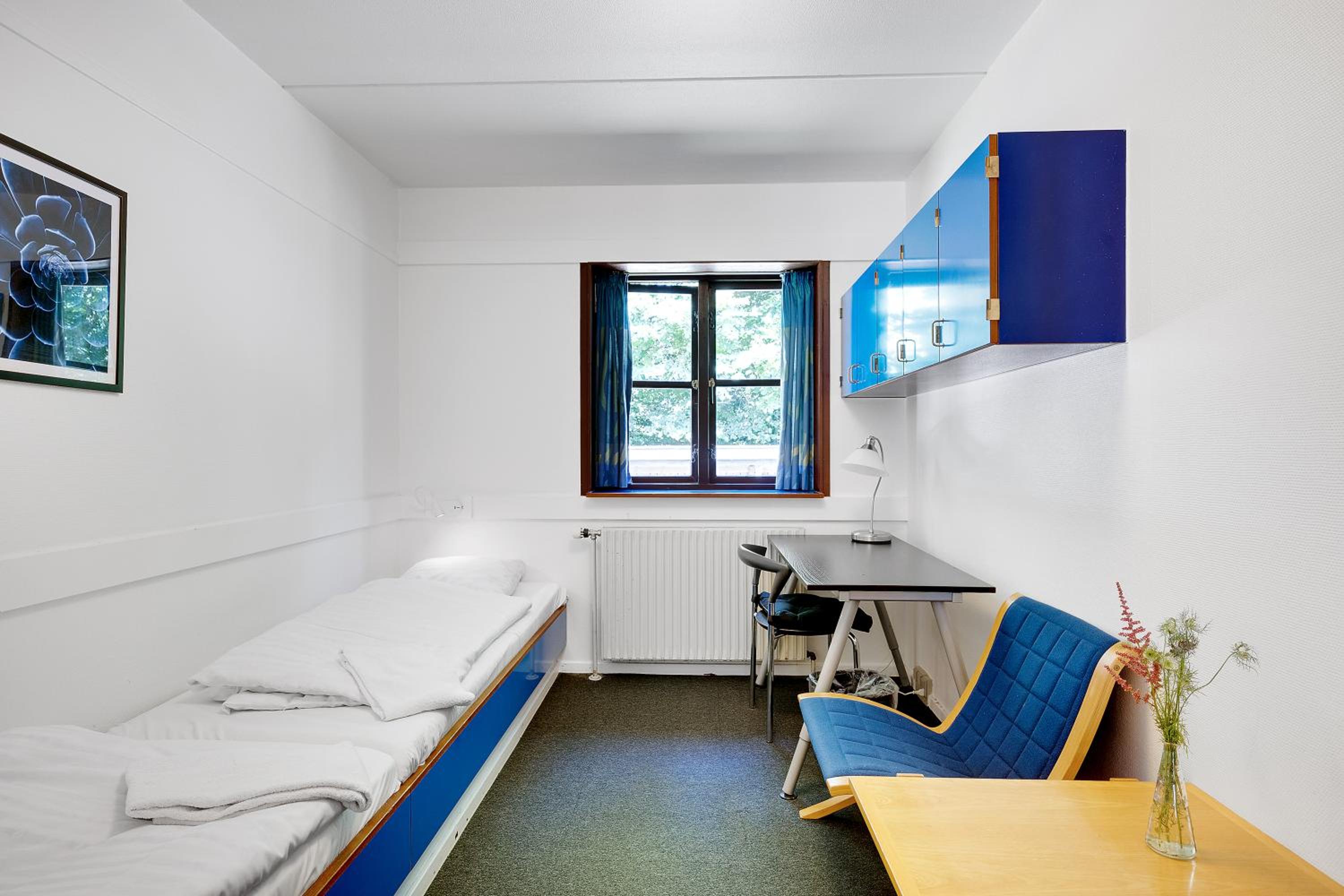 Standard Twin Room photo 1