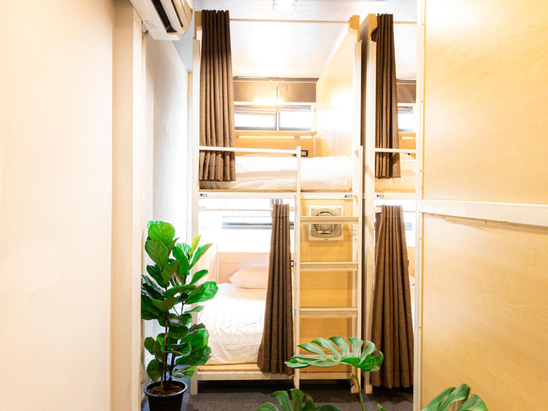 Single Bed in Female Dormitory Room photo 3