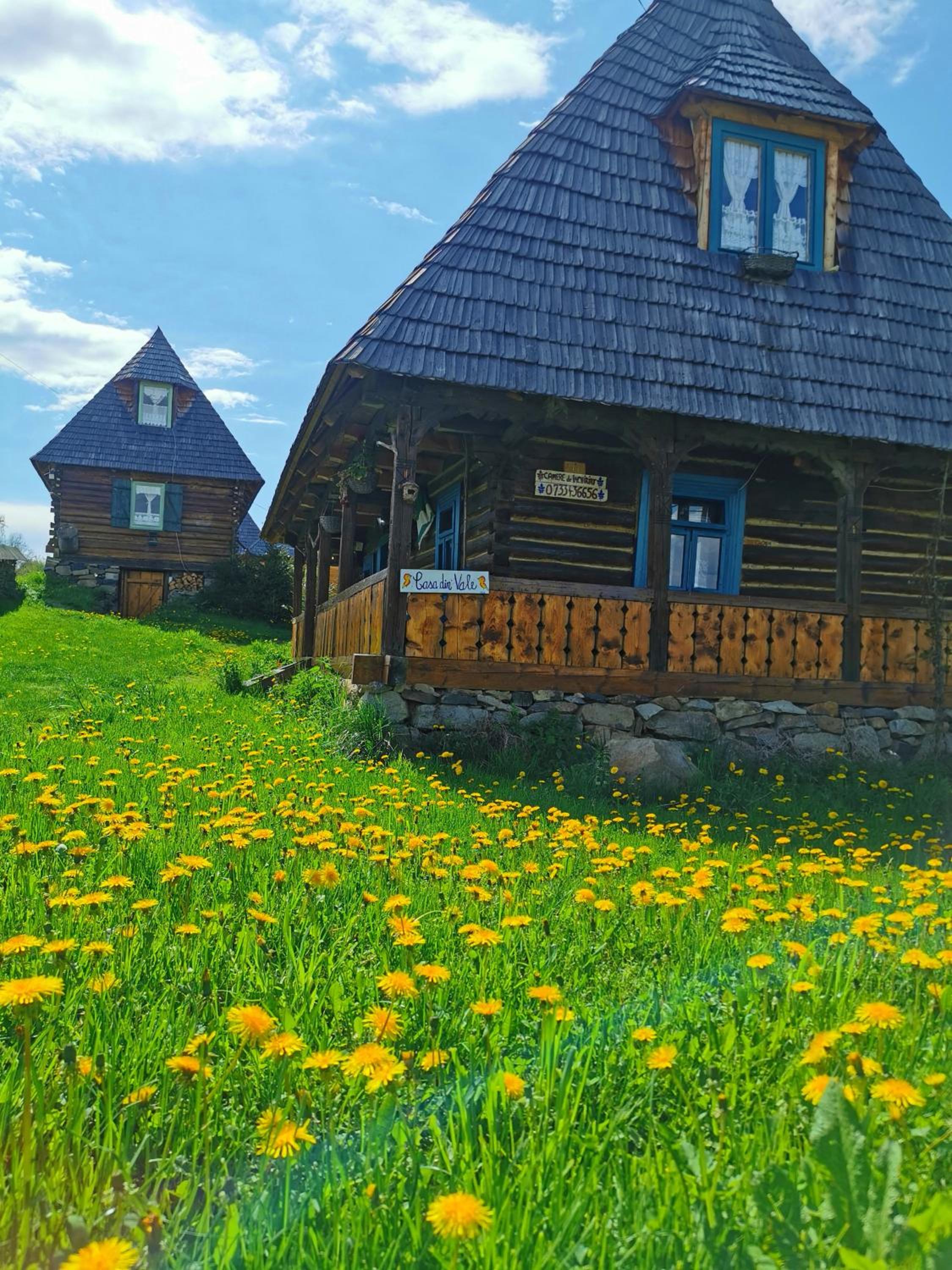 Three-Bedroom Chalet - Photo 3