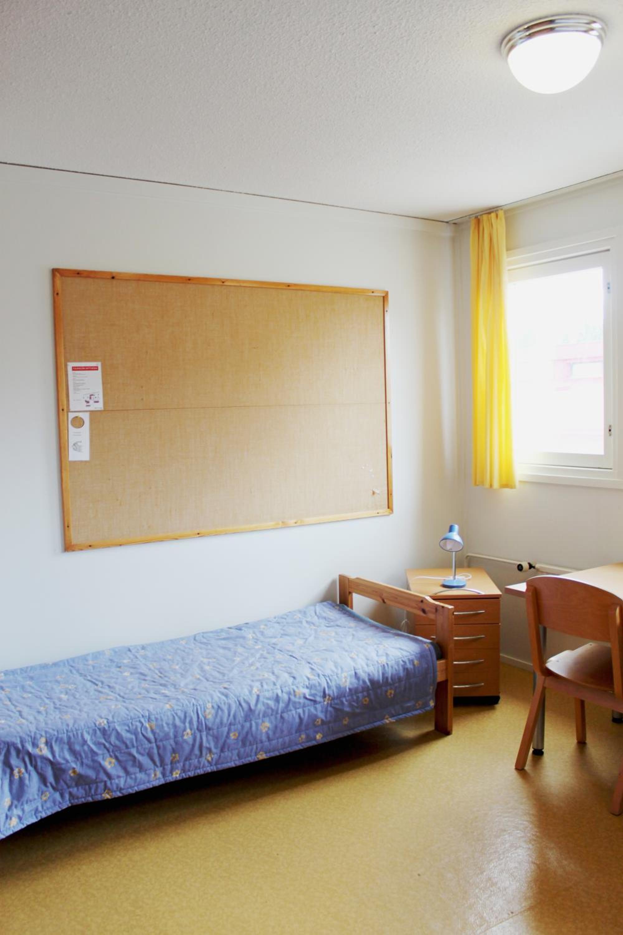 Twin Room photo 1