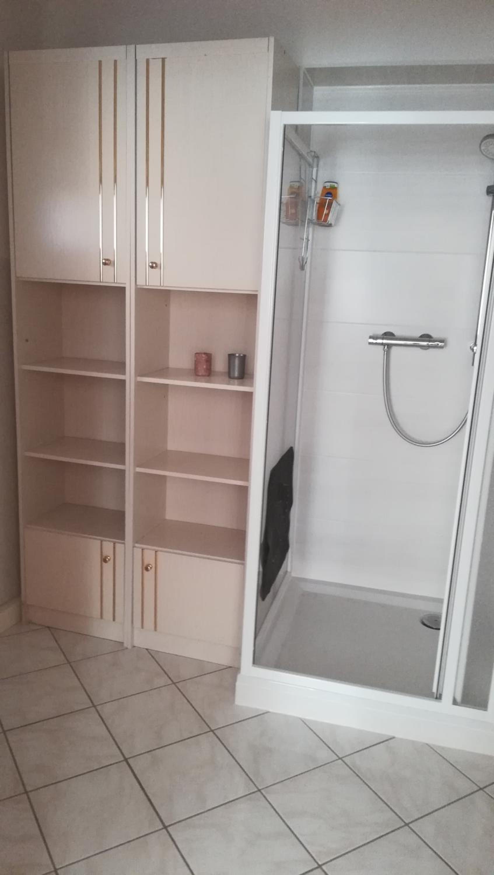 Apartment with Shower photo 2