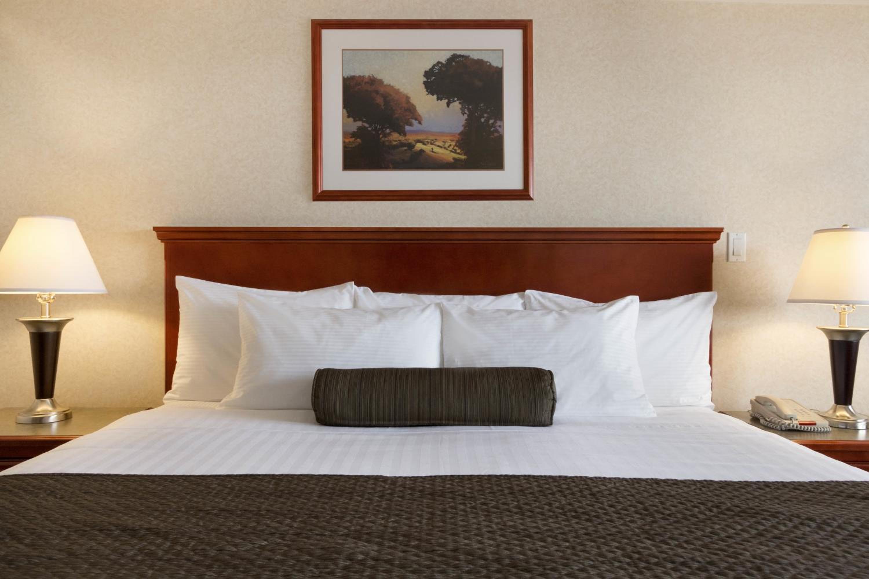 King Room - Non-Smoking - Photo 1
