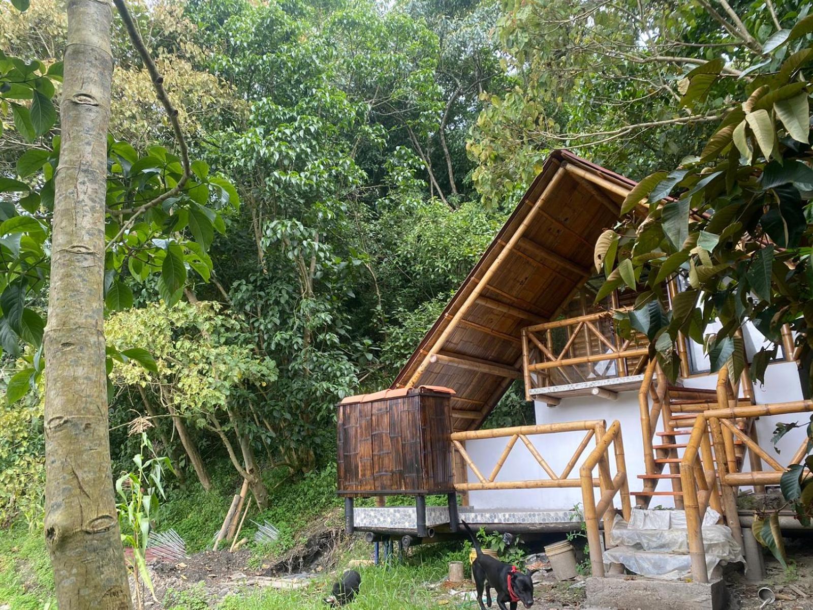 Deluxe Bungalow photo 2