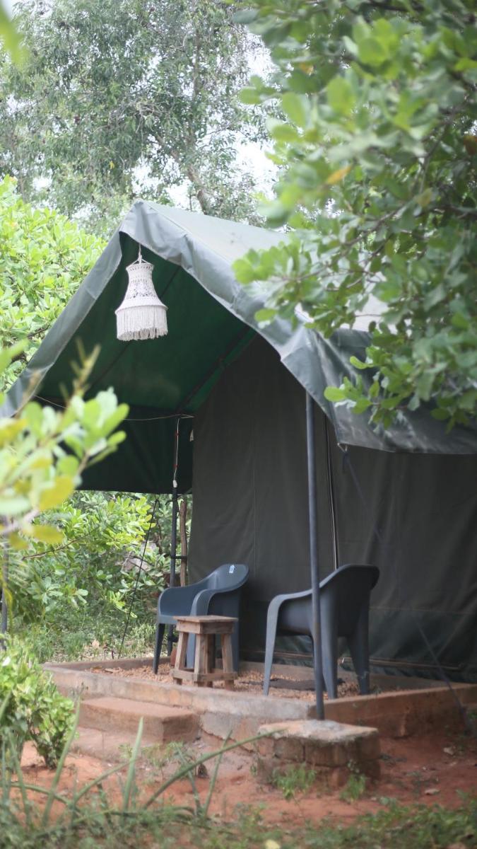 Tent photo 2