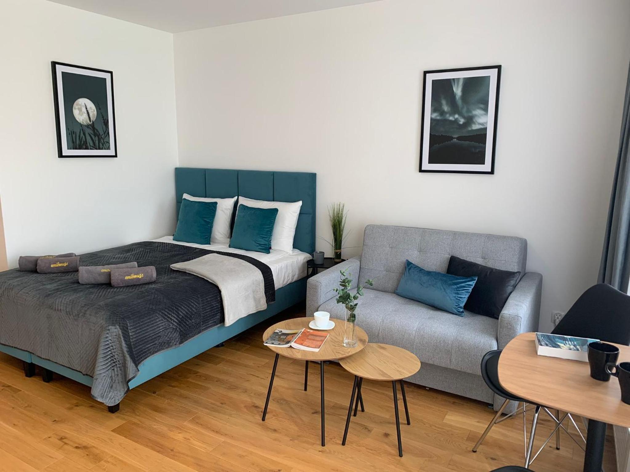 Studio with Sofa Bed photo 1