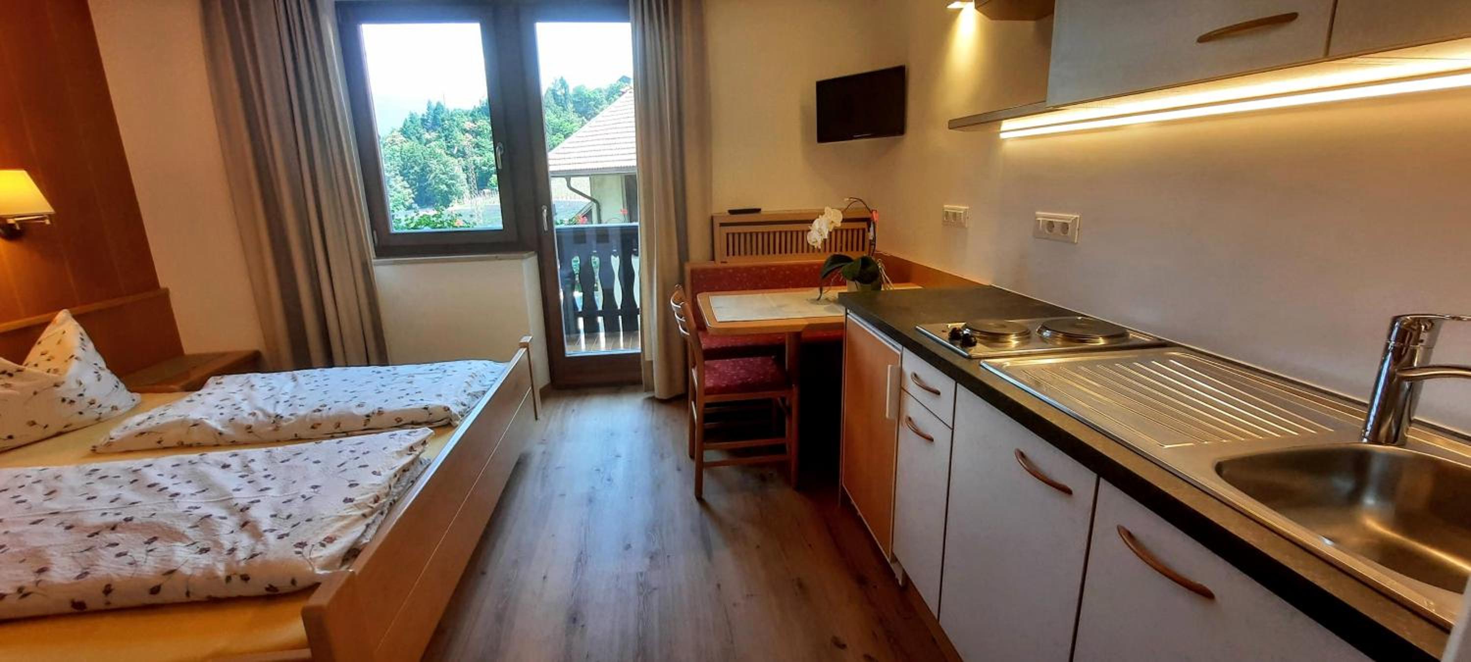 Studio with Mountain View photo 1
