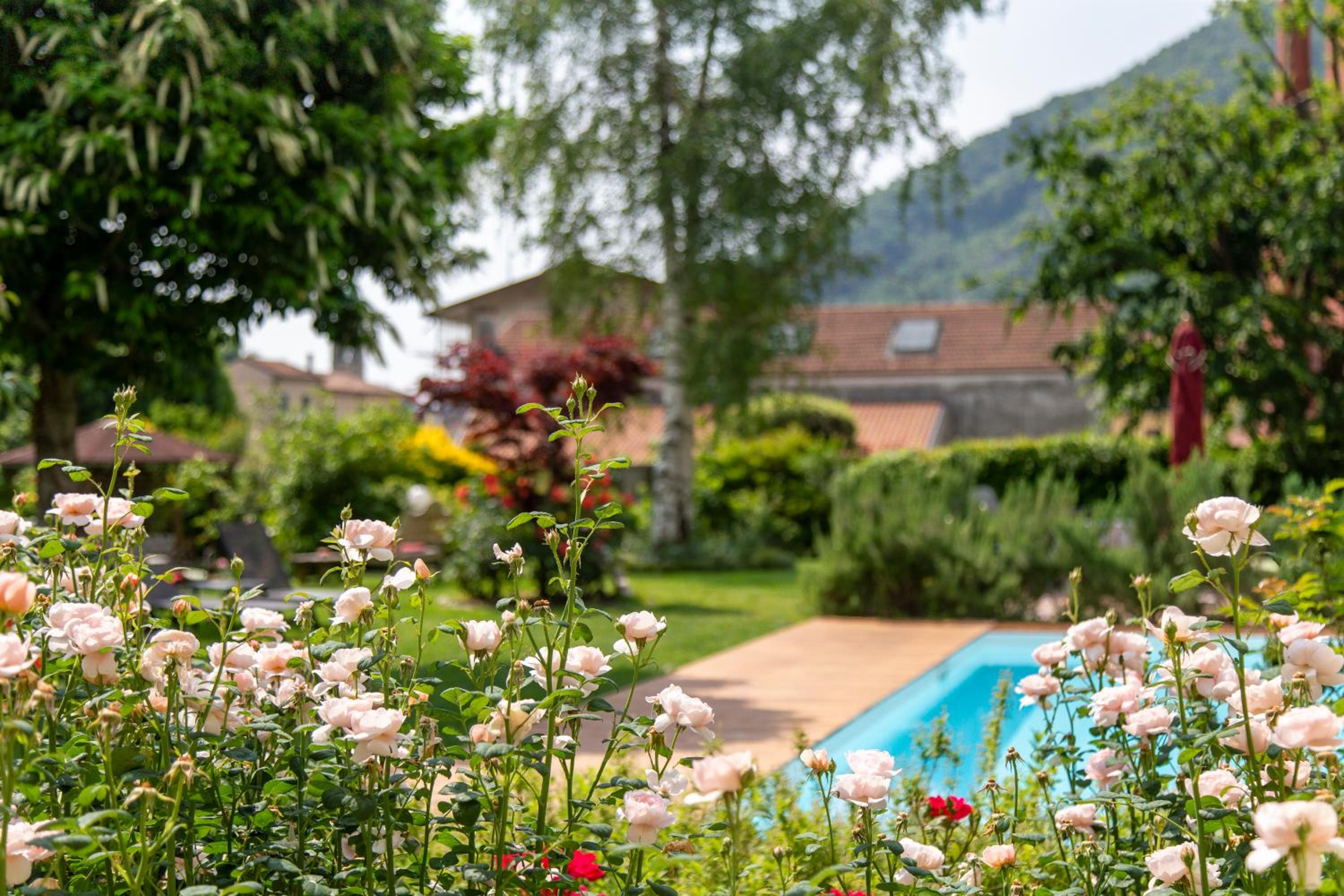 Double Room with Garden View