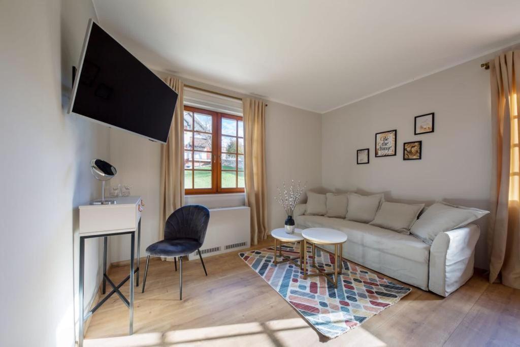 Studio with Sofa Bed photo 2