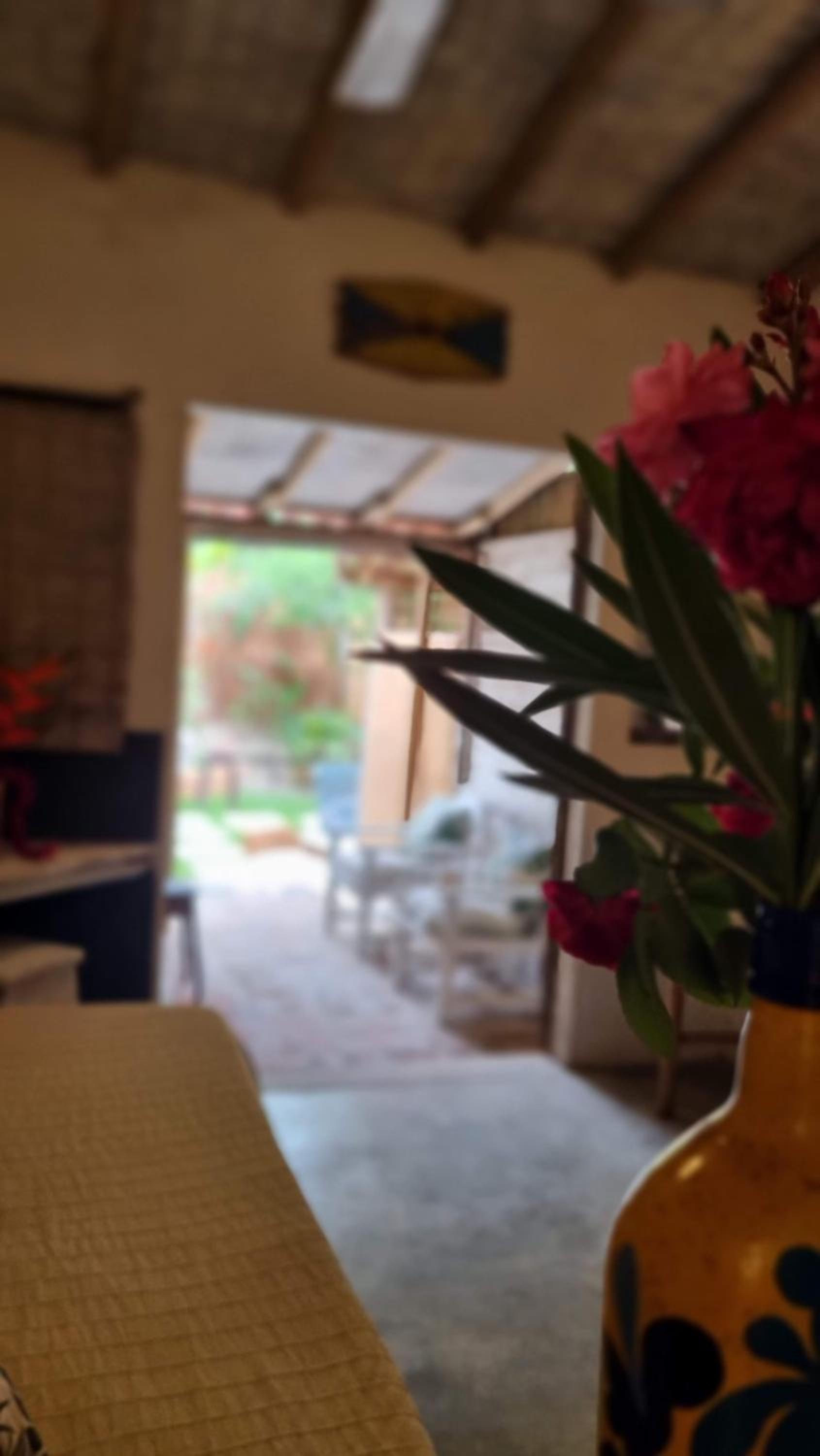 Double Room with Patio photo 2