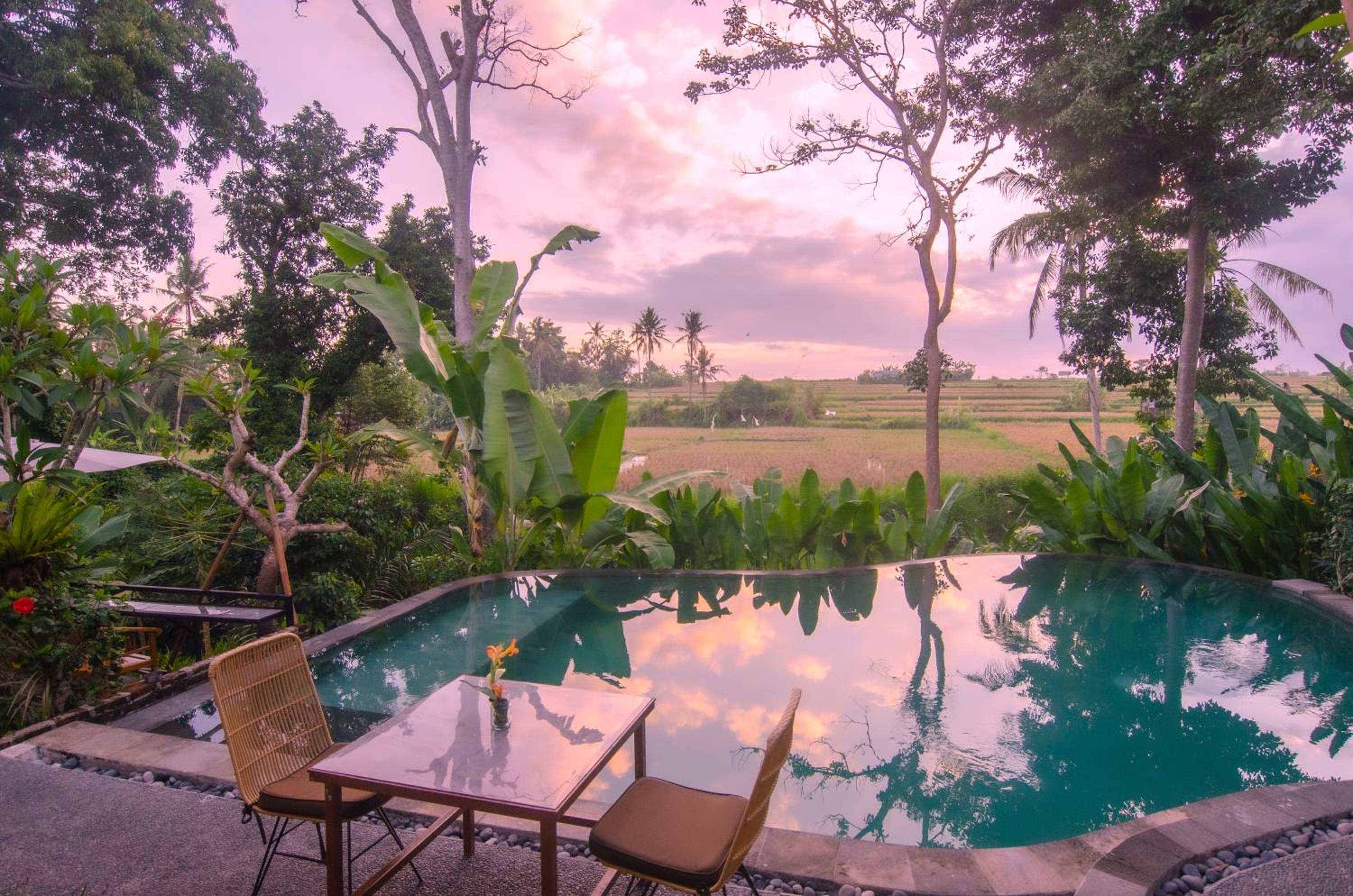 King Room with Pool View - Photo 8