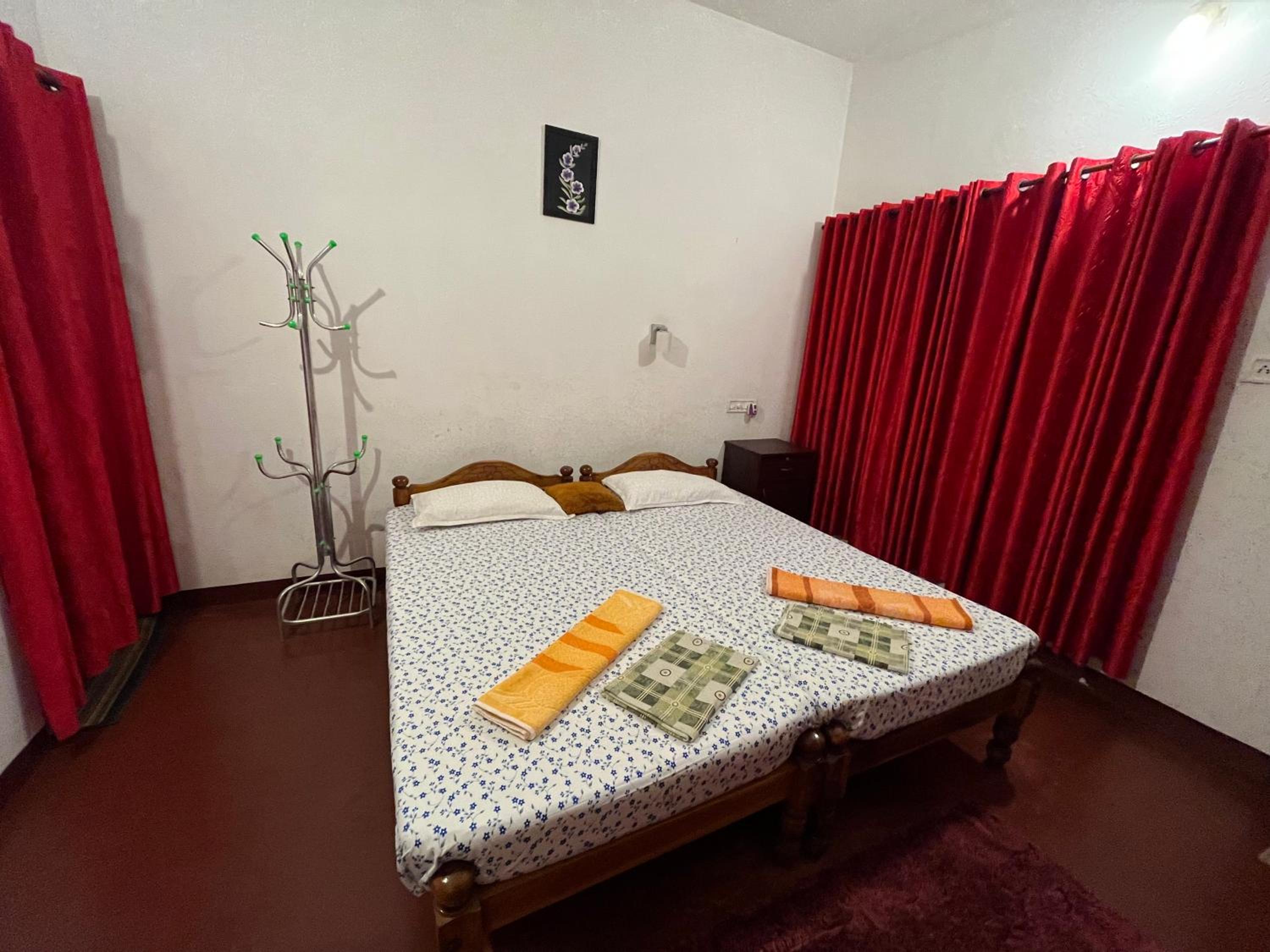 Deluxe Double or Twin Room photo 1