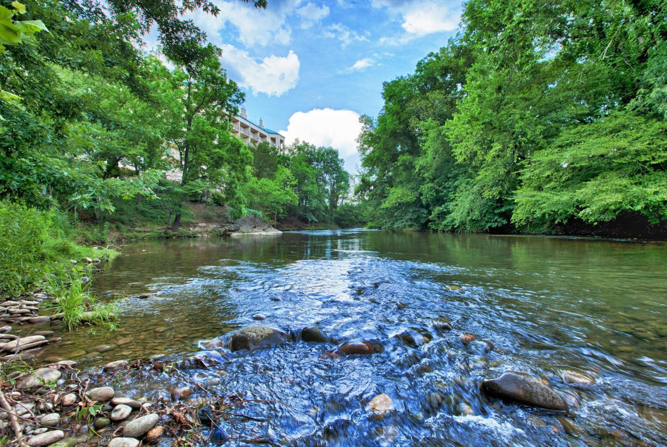 Deluxe Queen with River View - Hotel - Photo 4