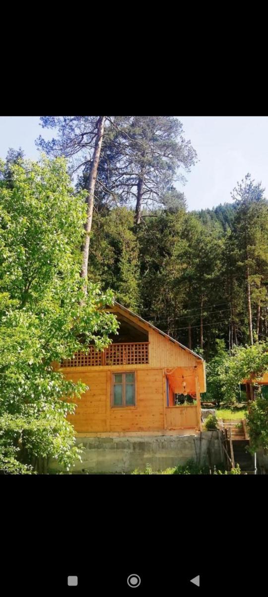 Triple Room with Mountain View photo 3