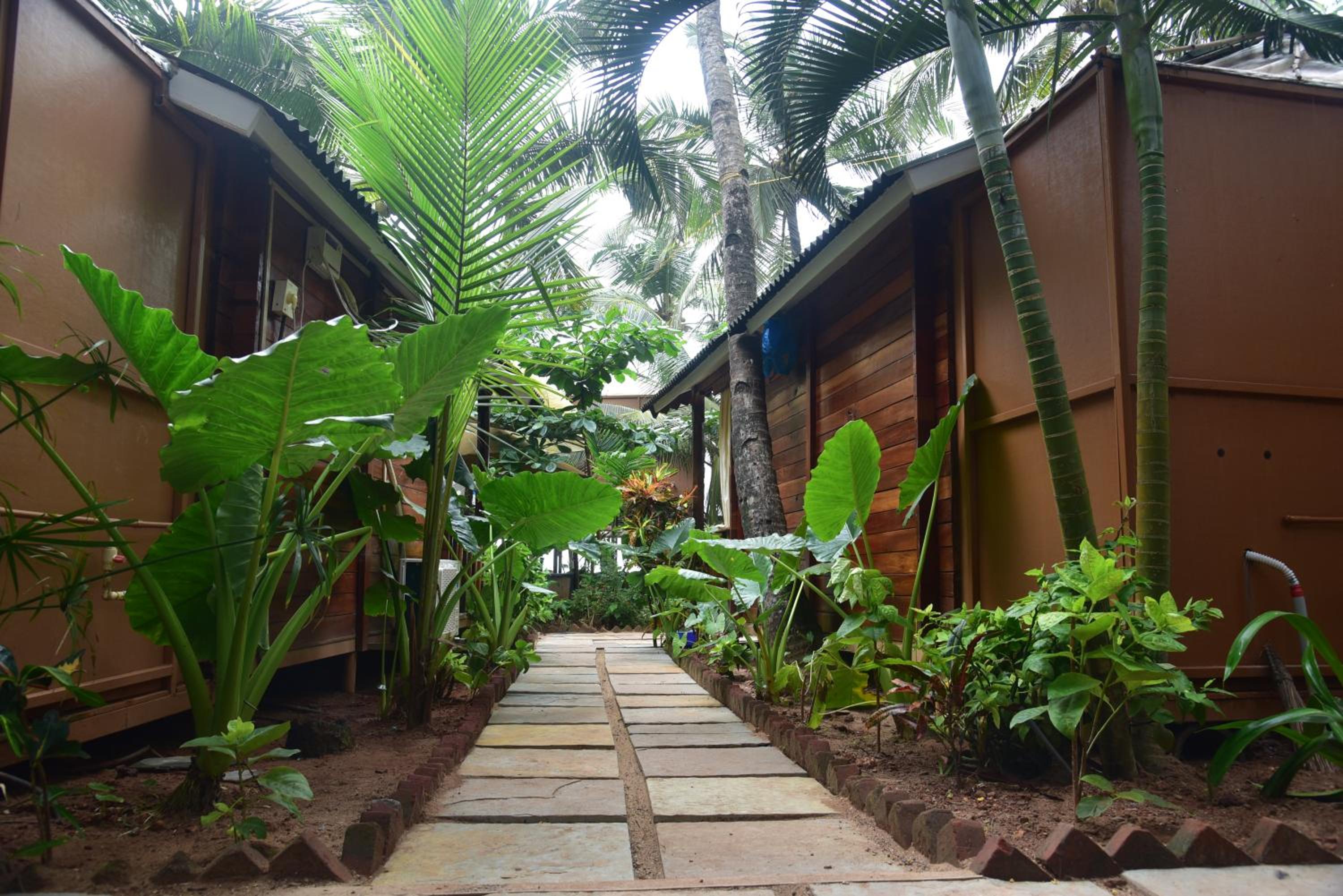 Family Bungalow photo 3