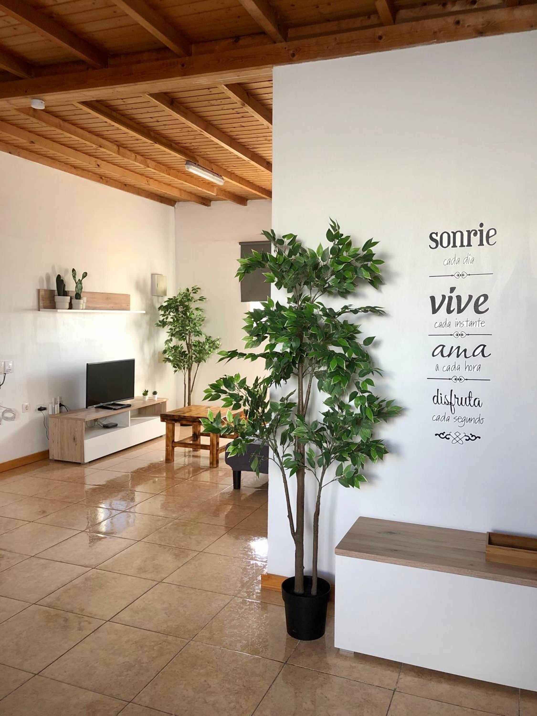 Apartamento con Terraza