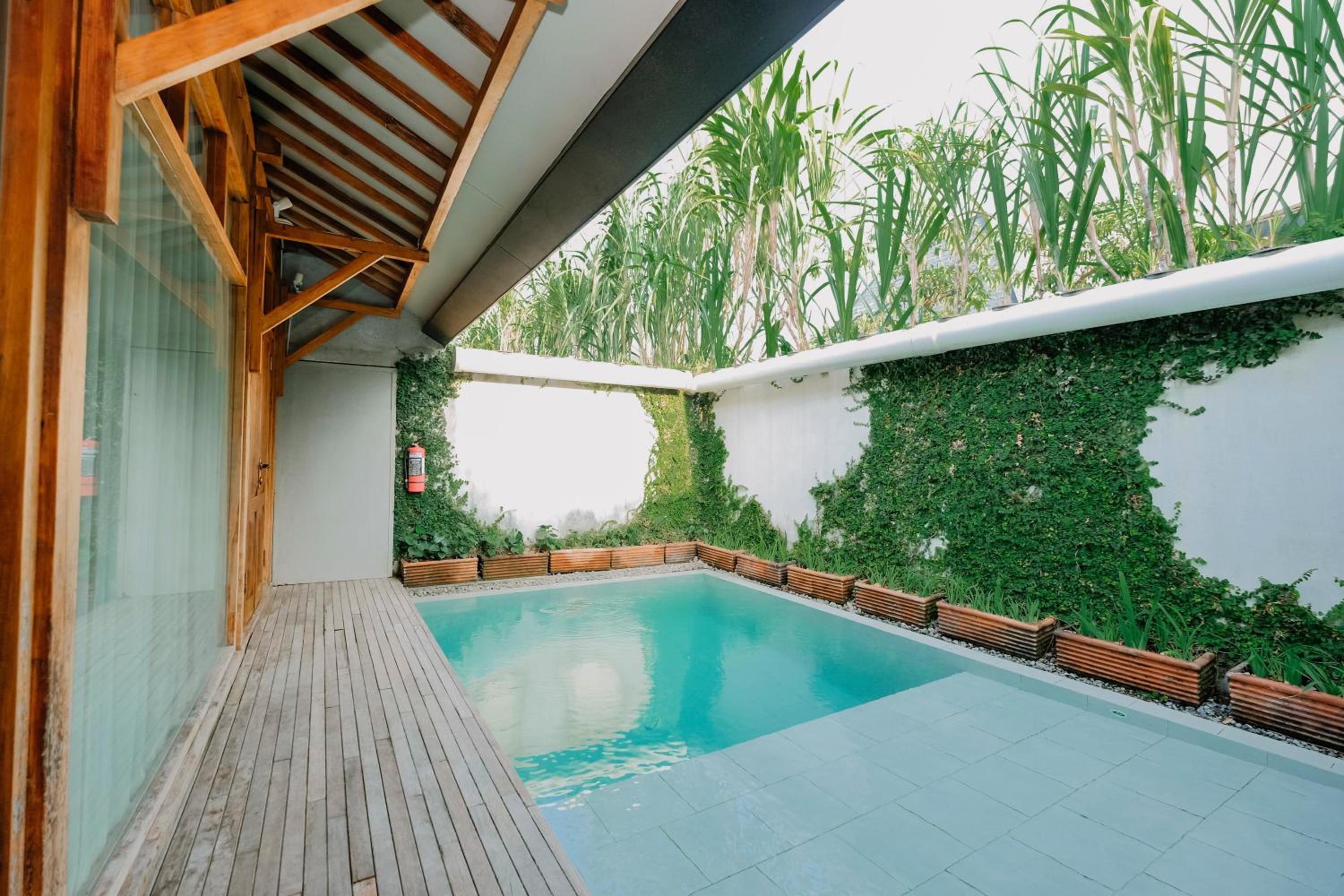 Janur Villa with Private Pool - Photo 5