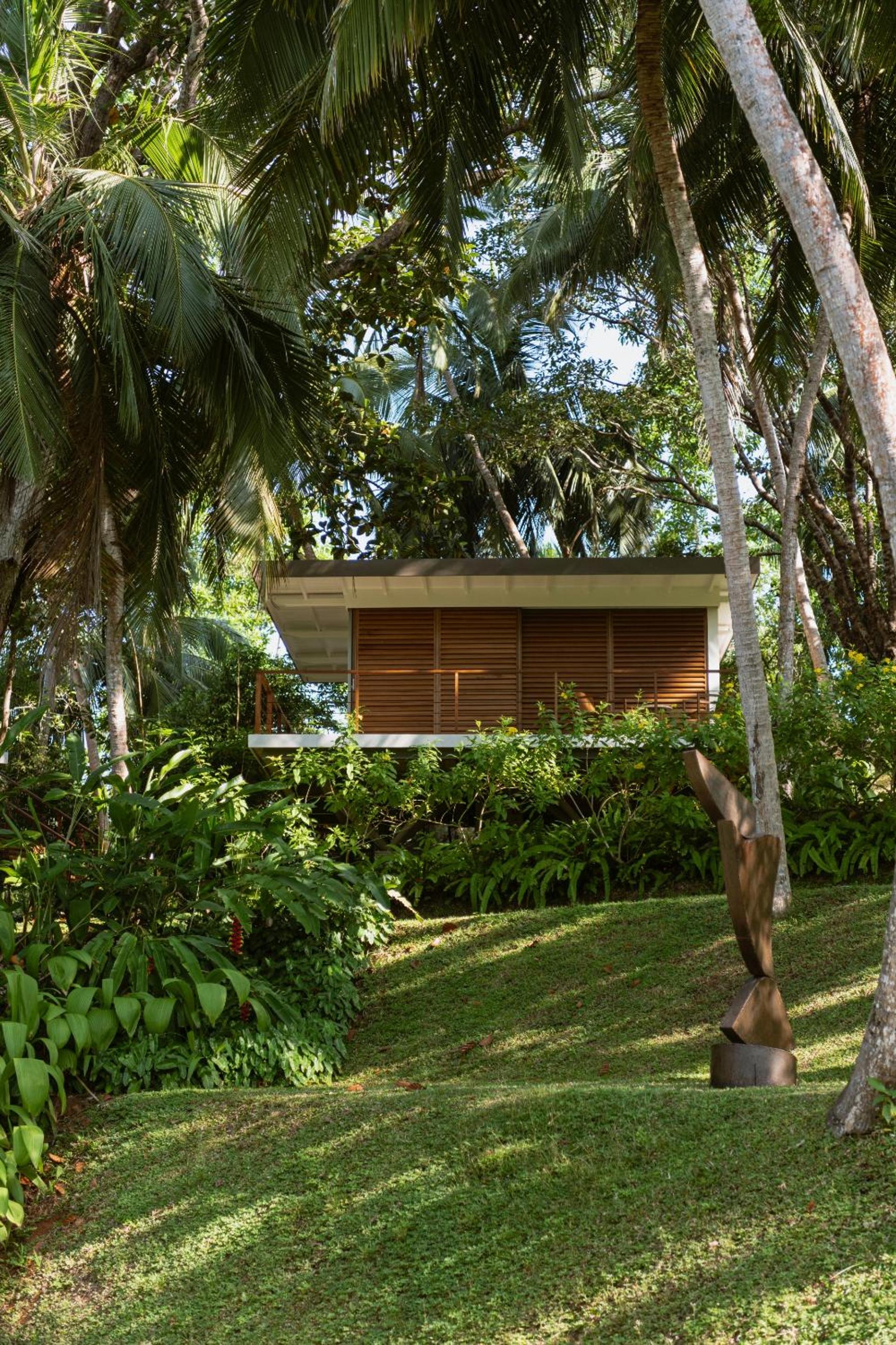 Tree House with Lake View photo 2