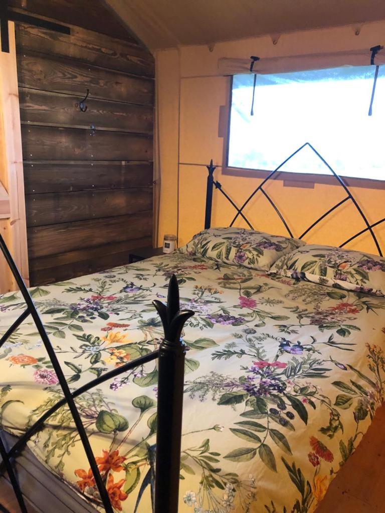 Tent photo 1