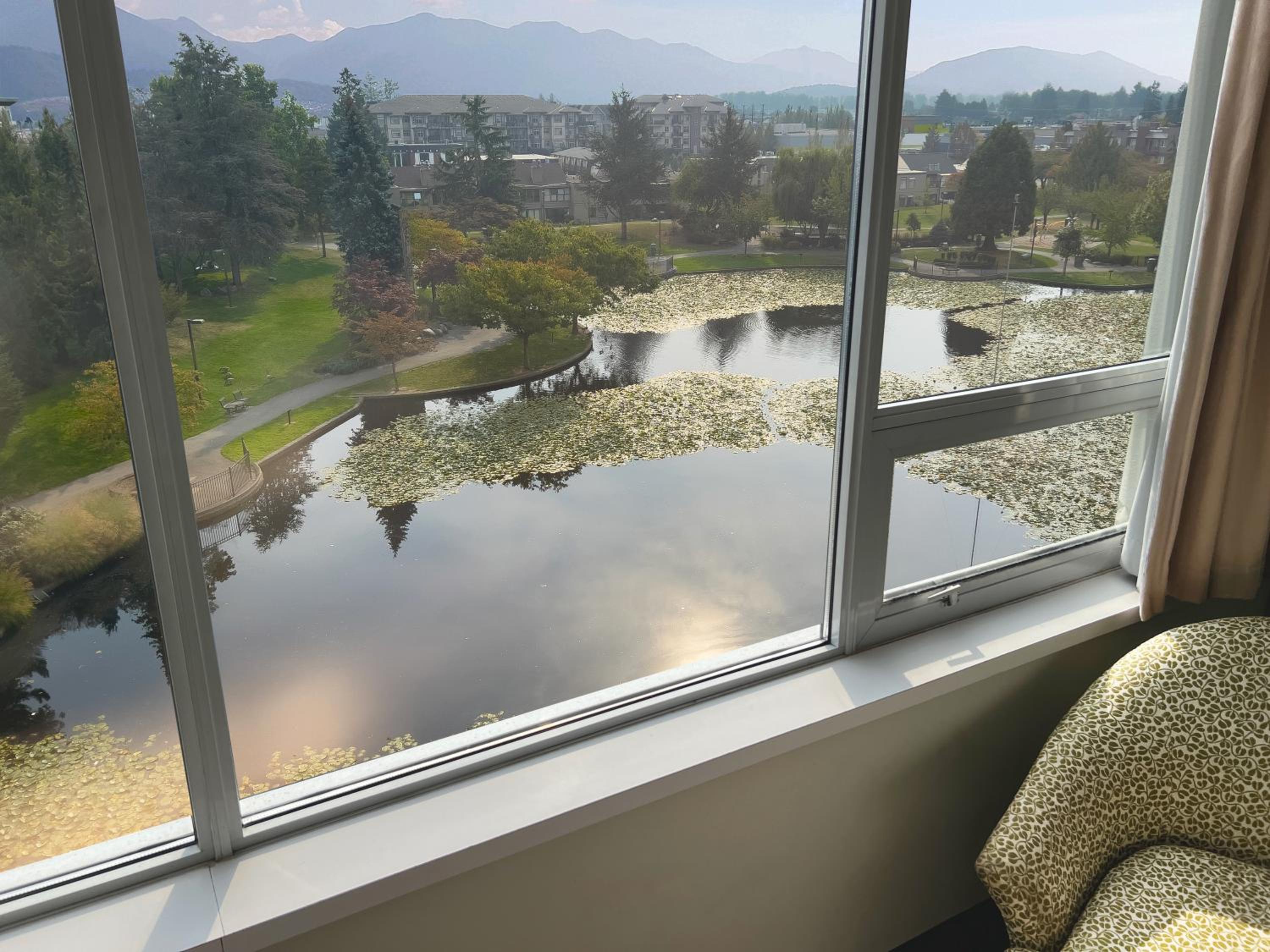 Coast King with Pond View photo 3