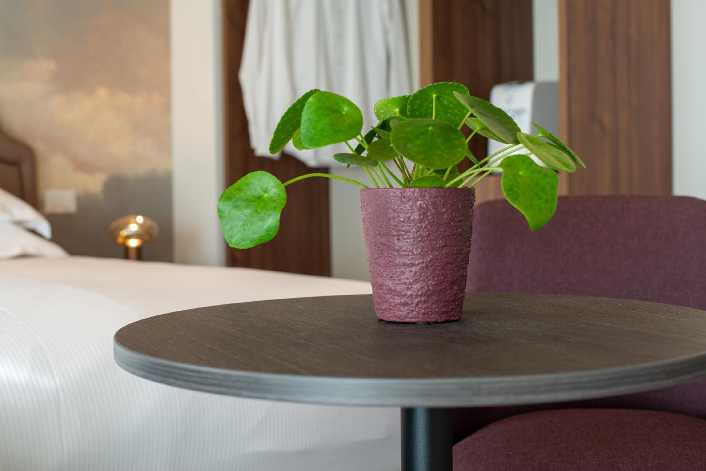 King Room - Photo 5