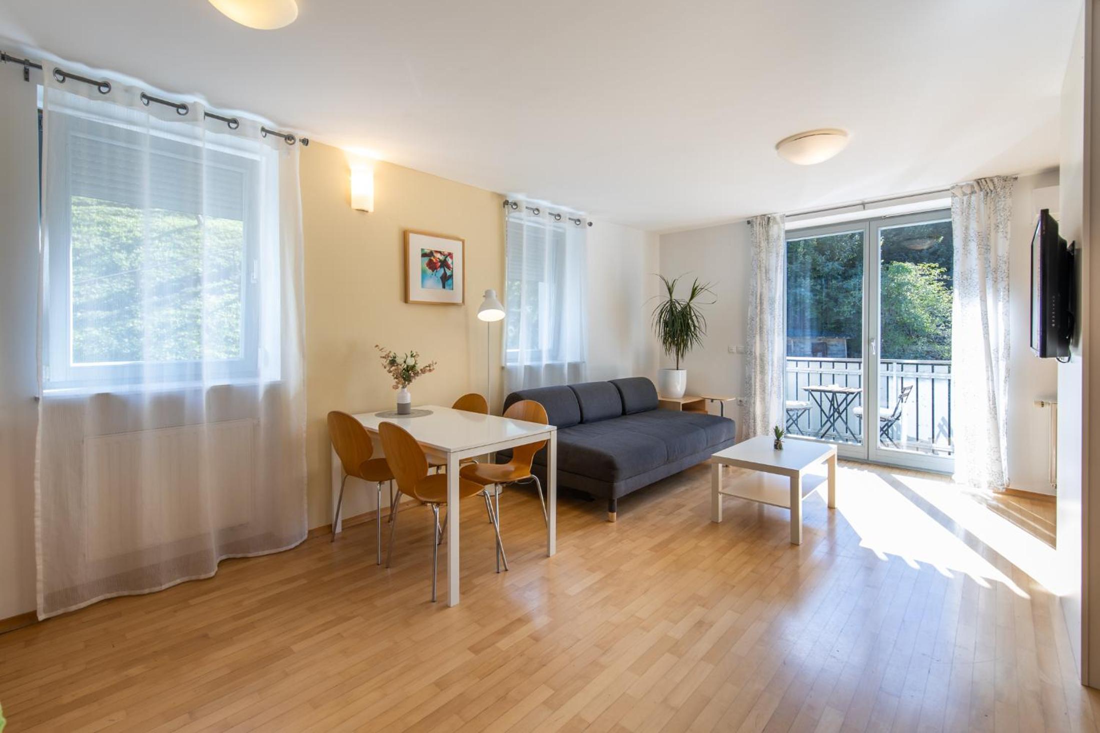 Superior One-Bedroom Apartment with Balcony photo 2