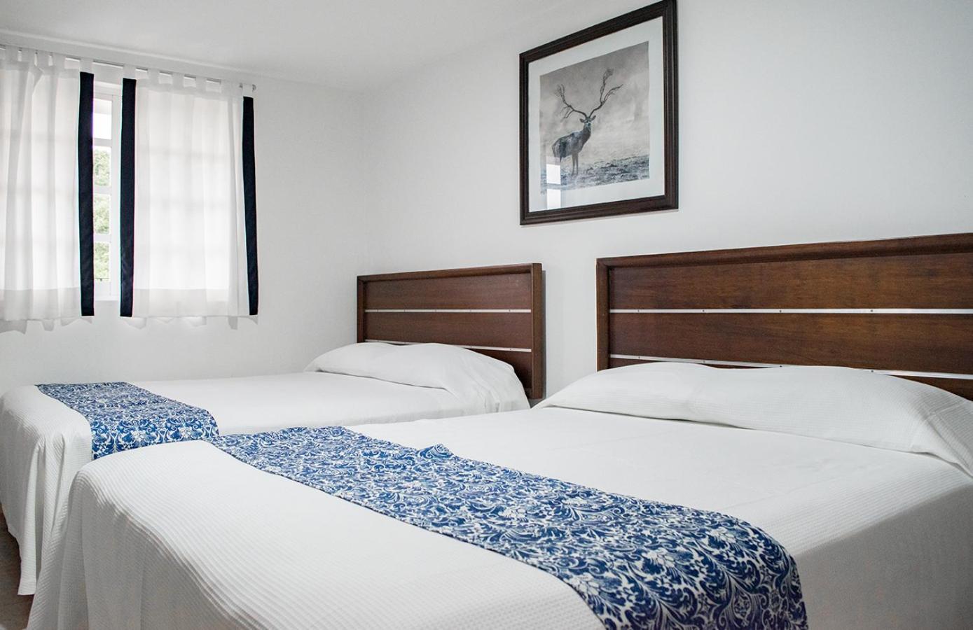 Standard Twin Room photo 3