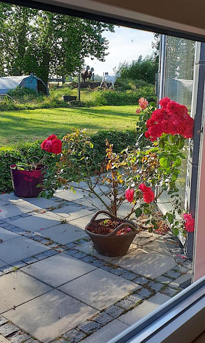 Apartment with Garden View photo 2