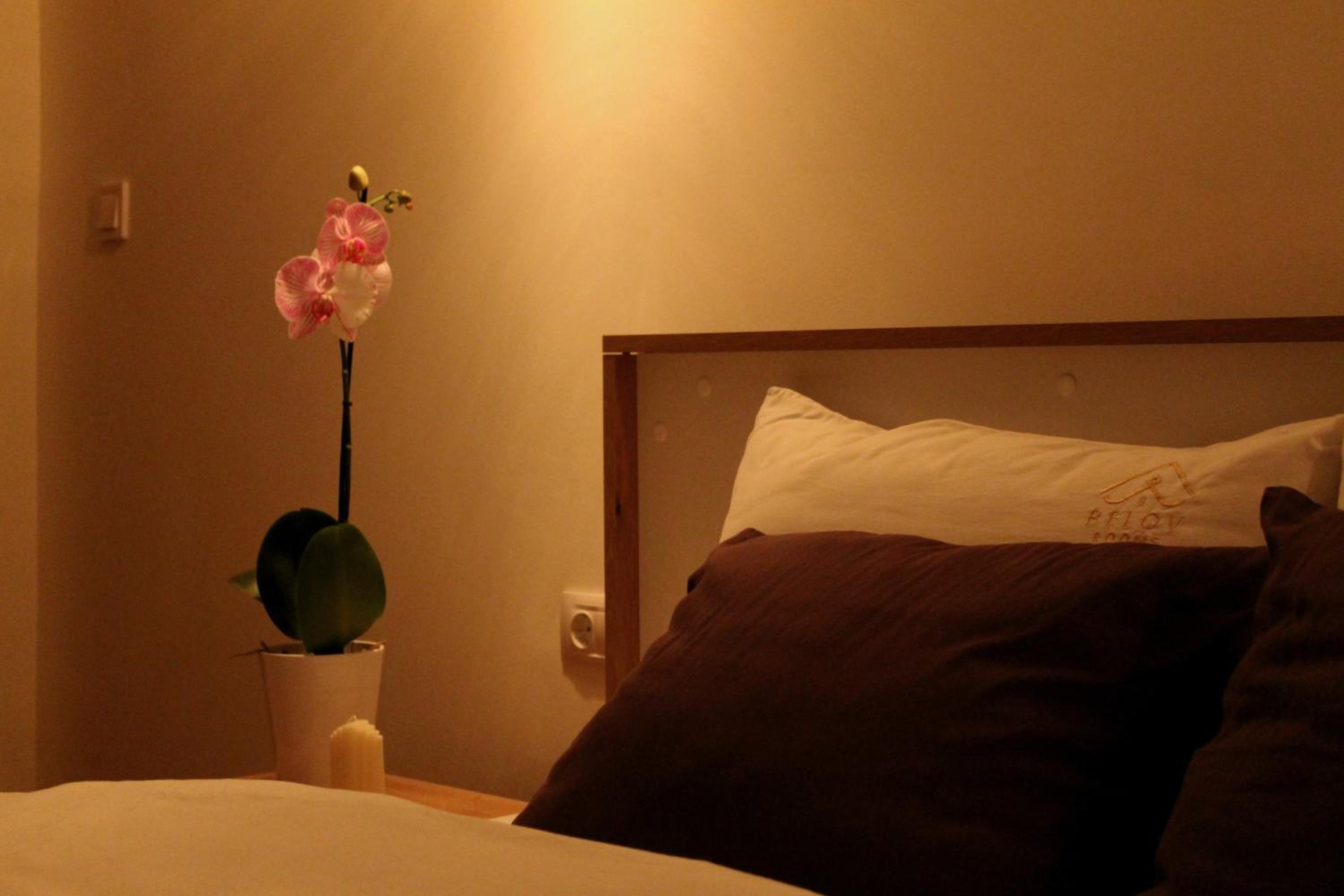 One-Bedroom Apartment with Balcony photo 1