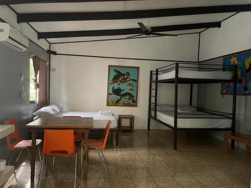 Standard Apartment photo 3