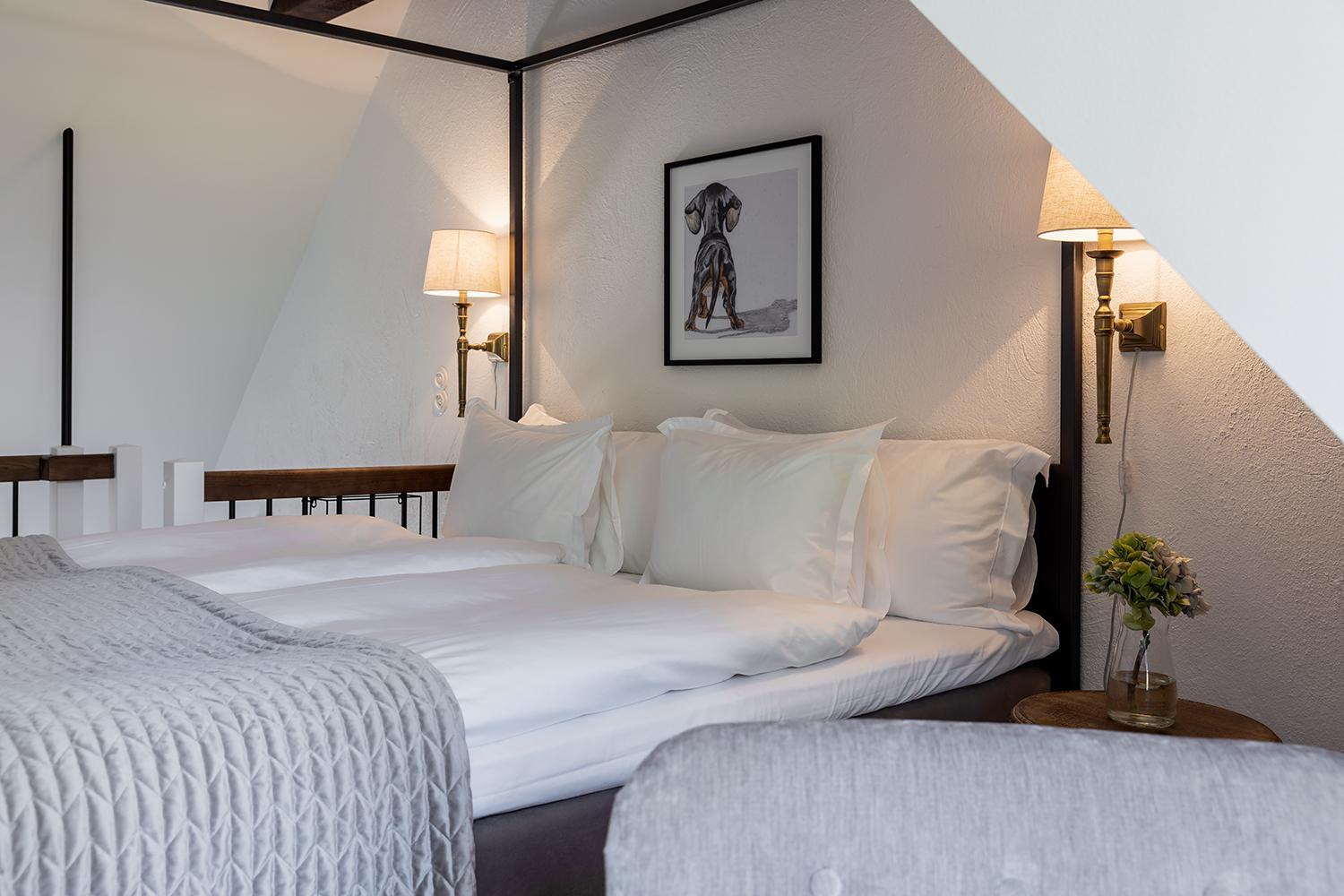 Standard Suite