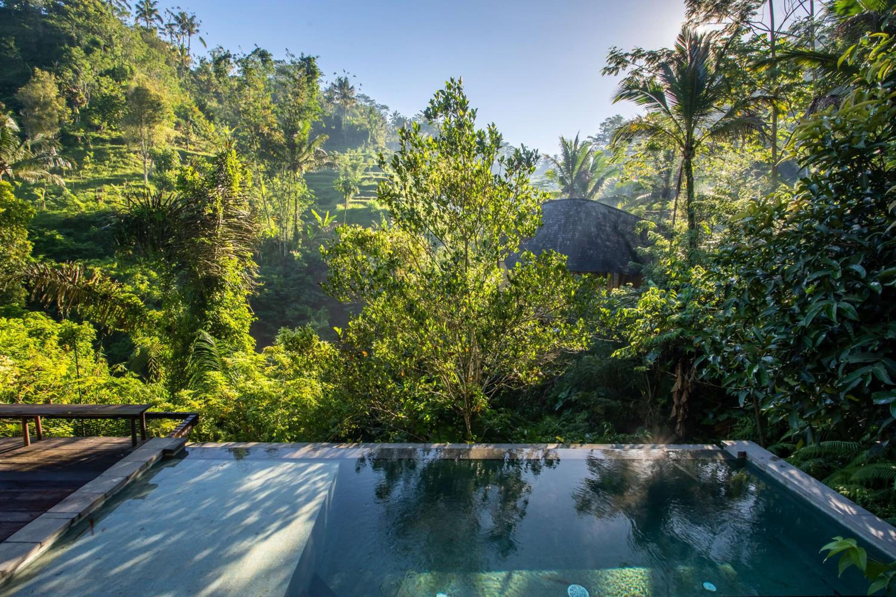 Rainforest Pool Bale - Photo 4