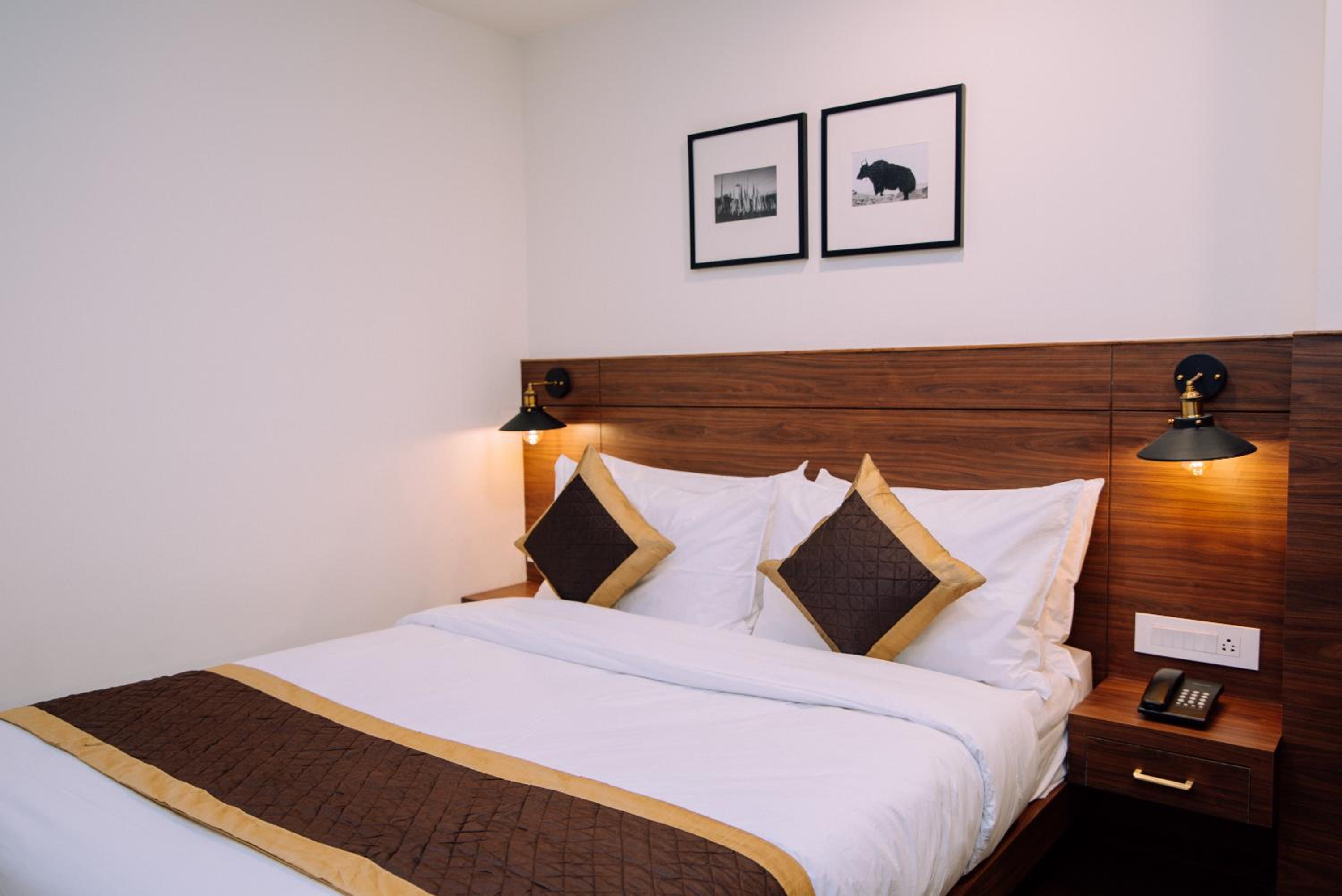 Standard Queen Room