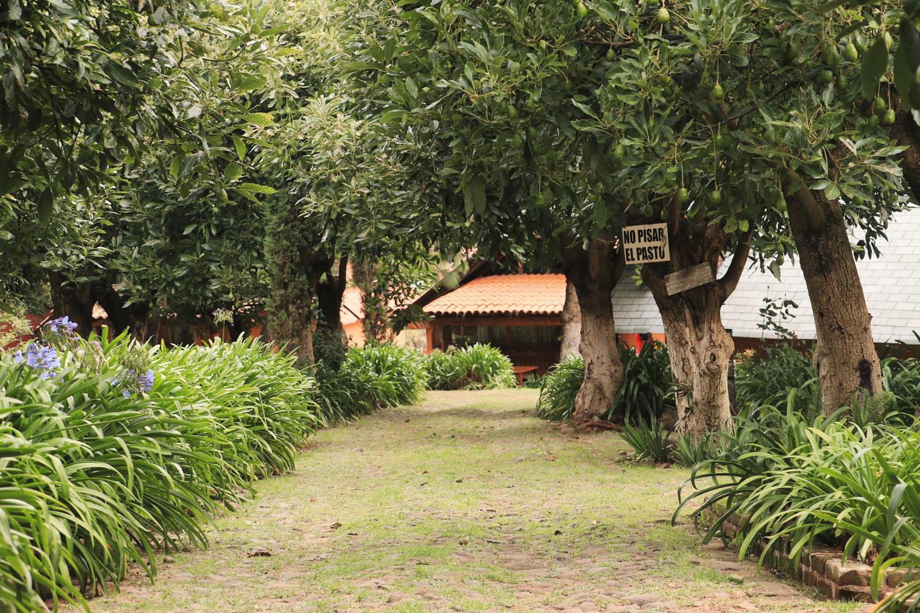 Chalet (2 Adults) - Photo 8