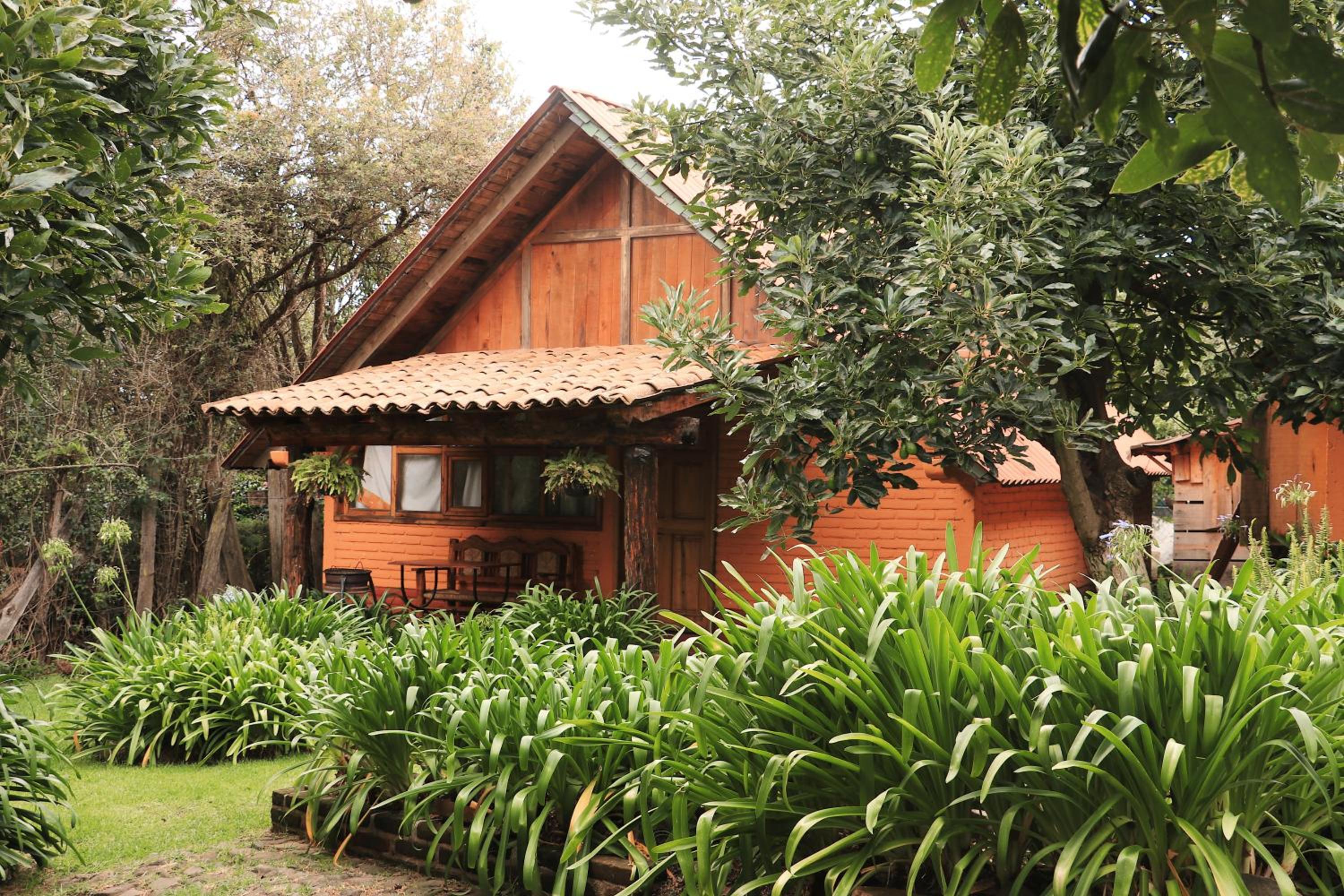 Chalet (2 Adults) - Photo 7