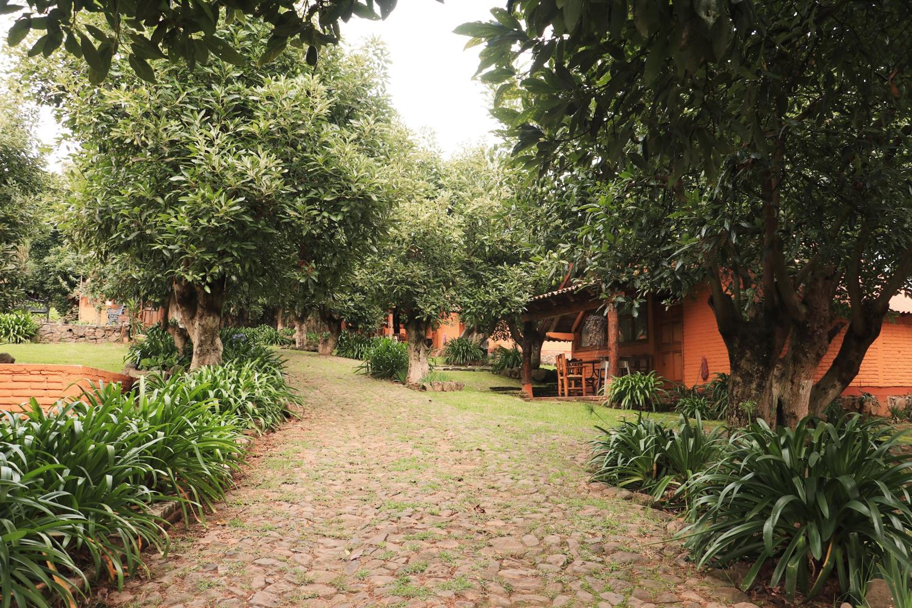 Chalet (2 Adults) - Photo 6