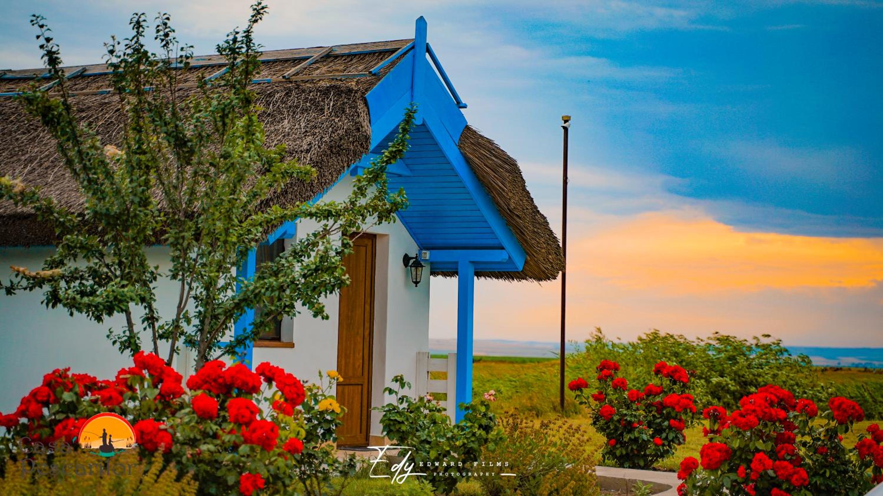 Deluxe Bungalow - Photo 4
