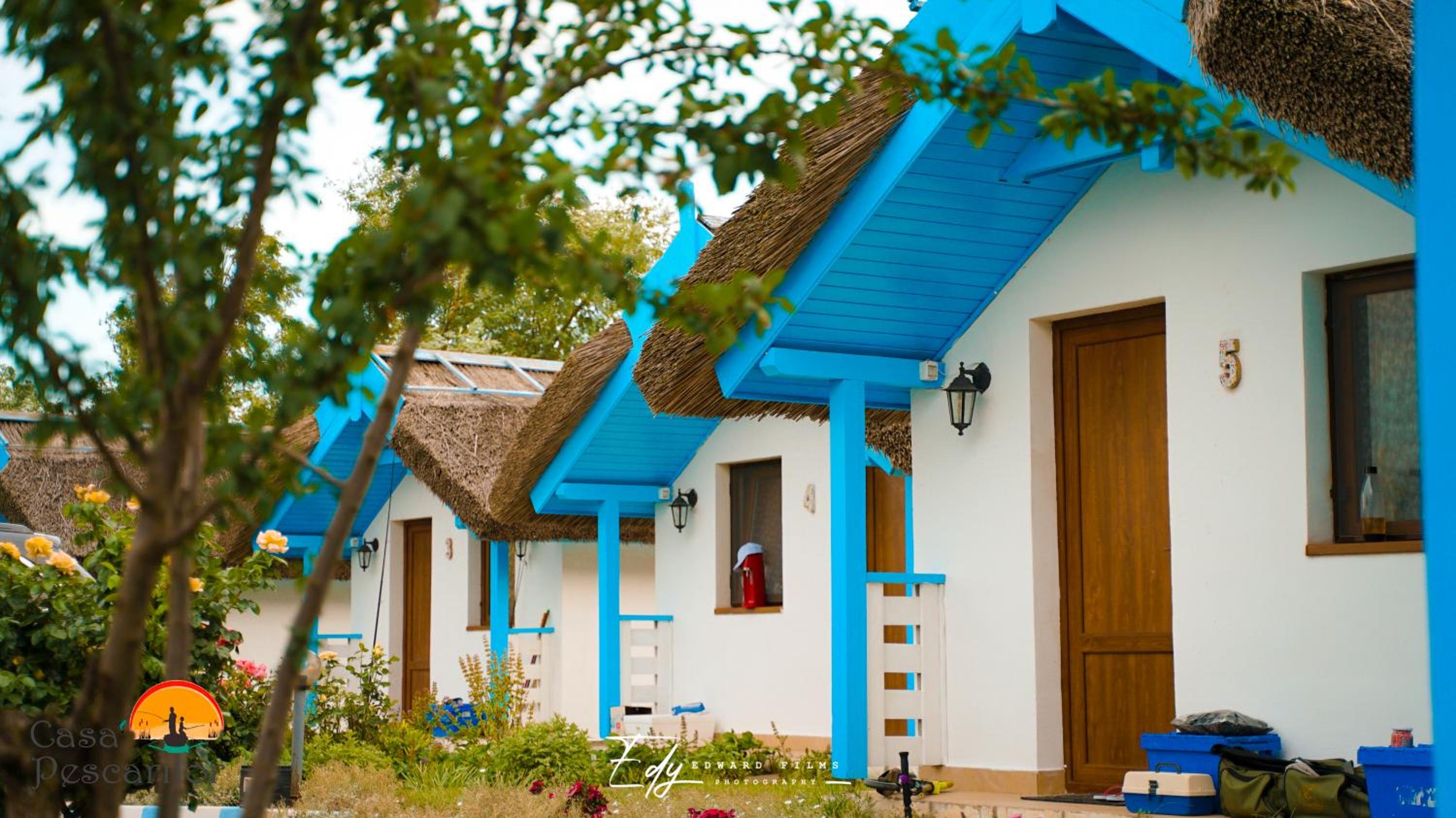 Deluxe Bungalow - Photo 5
