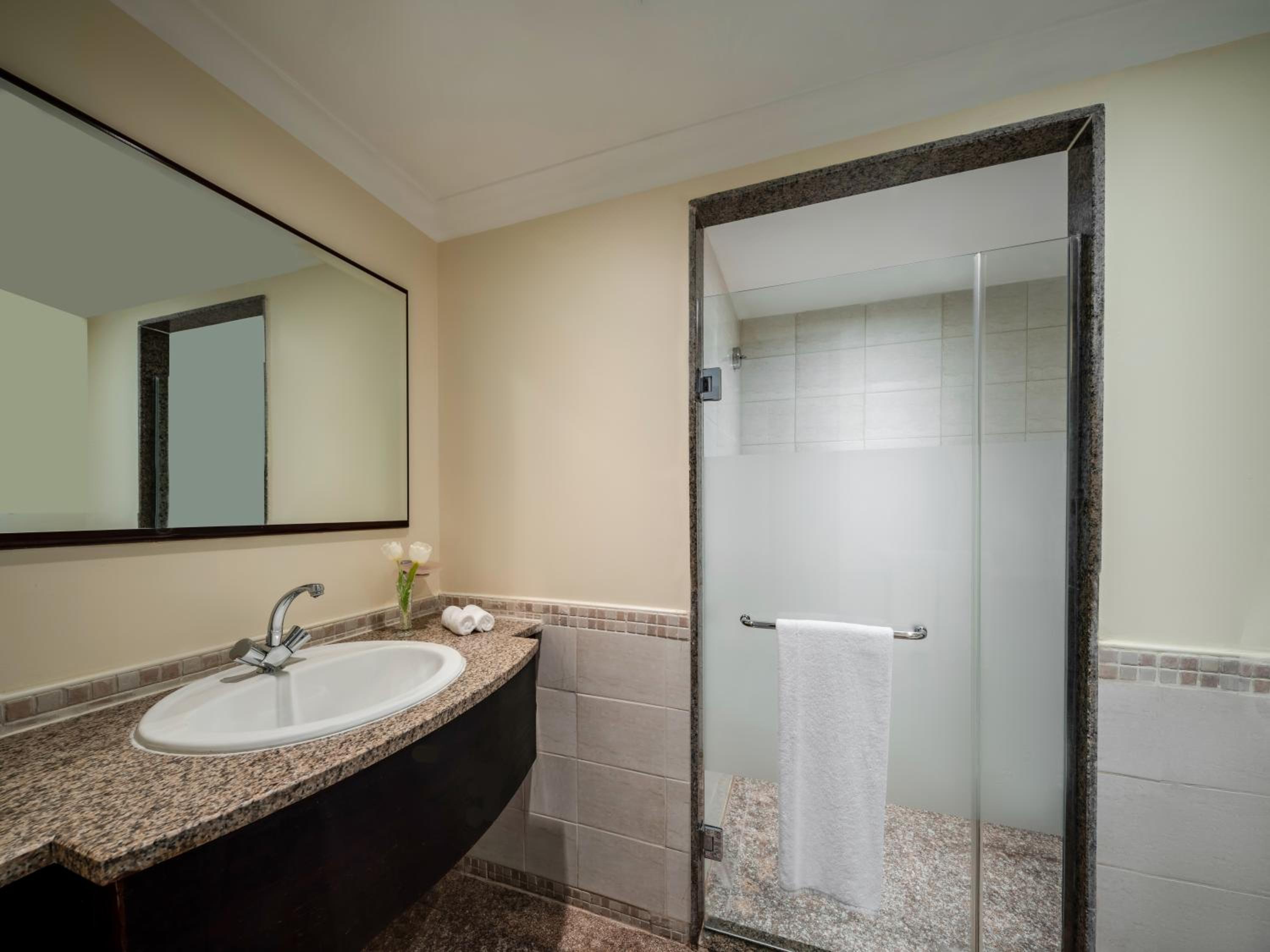 Deluxe King Suite - Photo 7