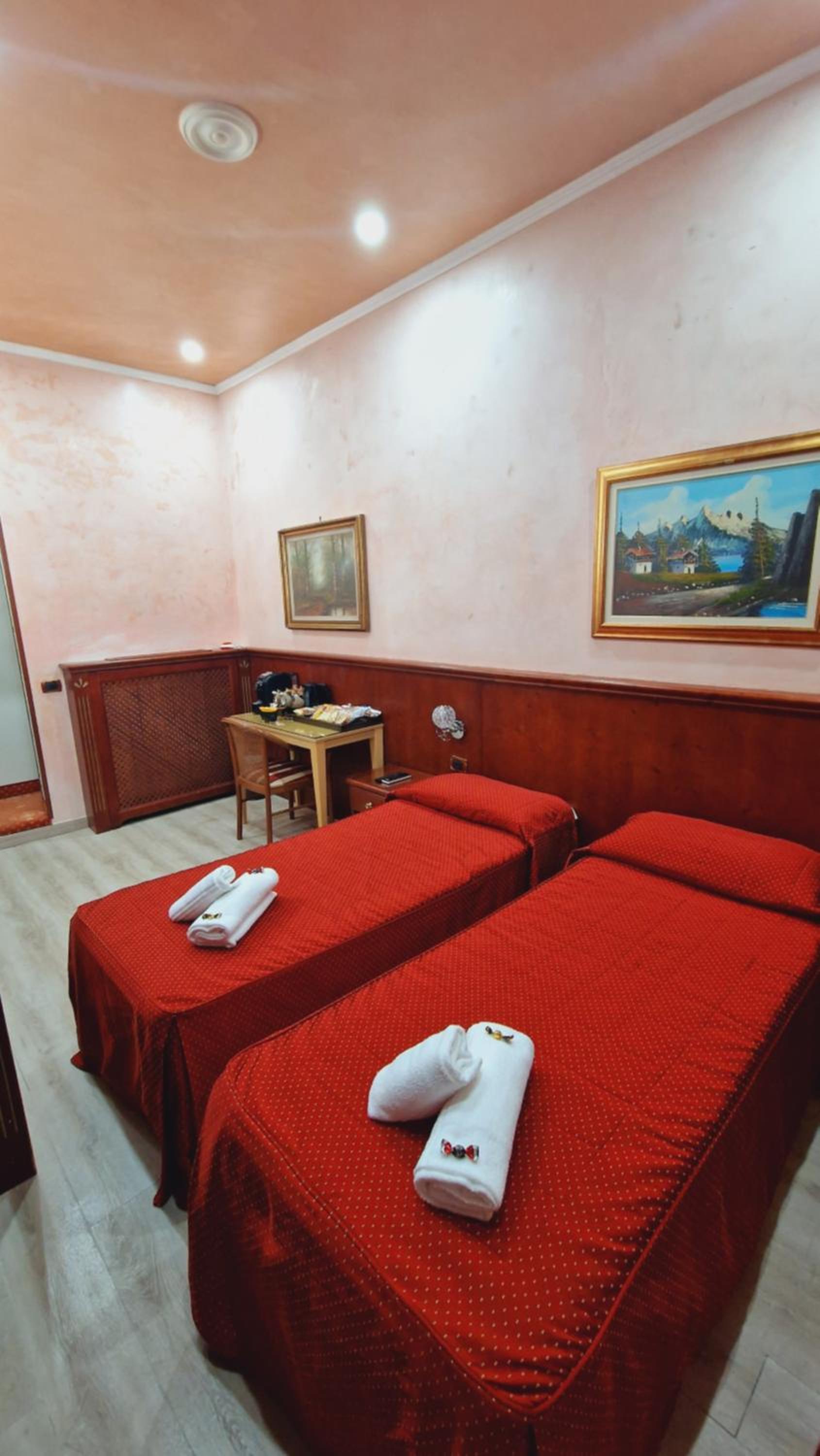 Double or Twin Room