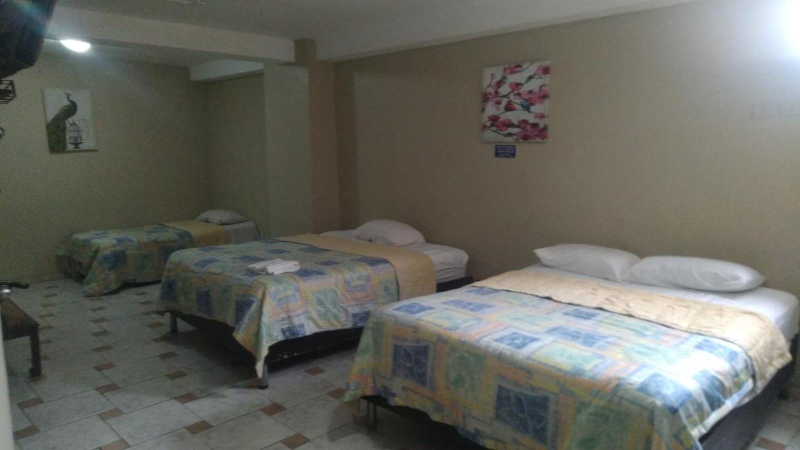 Classic Quadruple Room photo 3