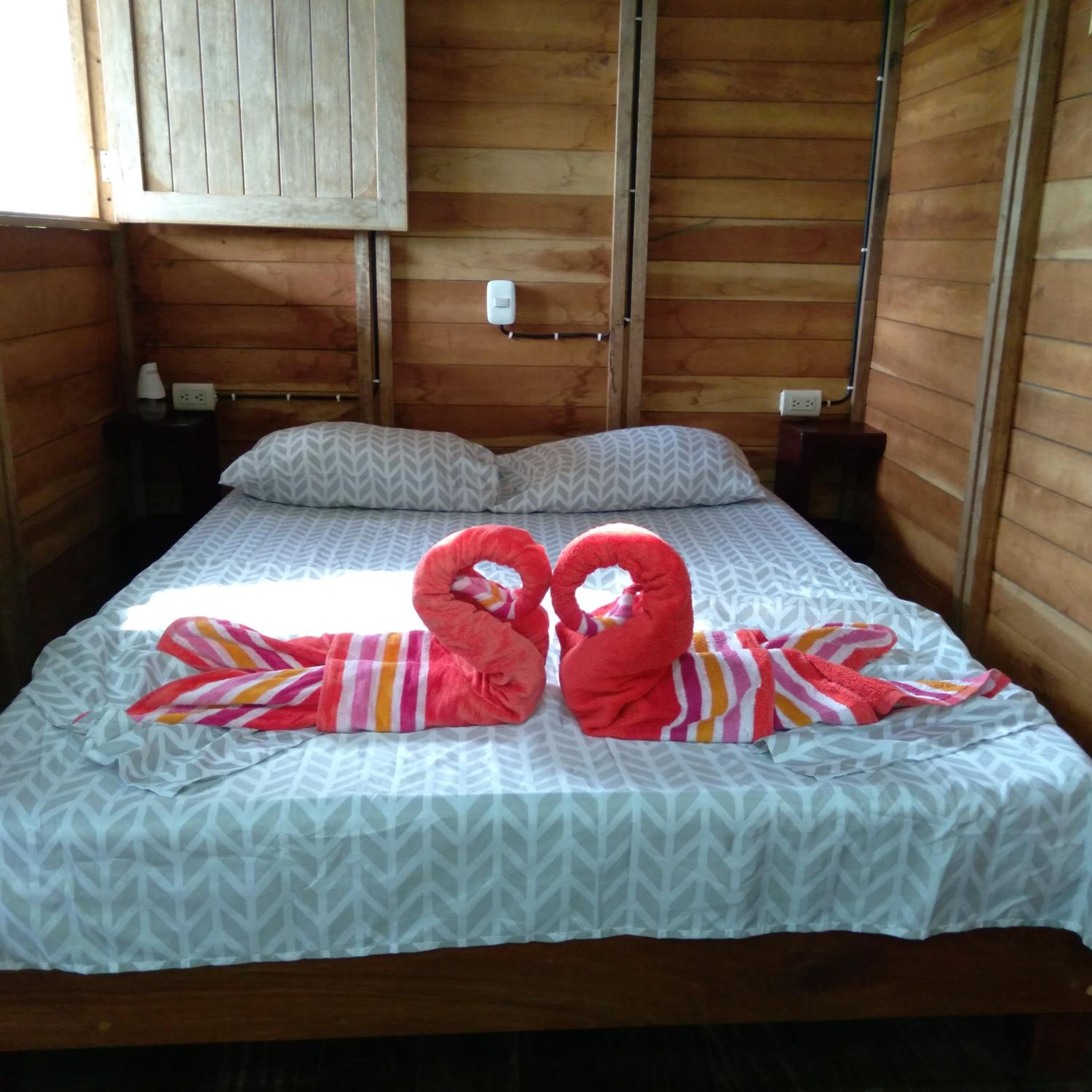 Family Bungalow photo 3