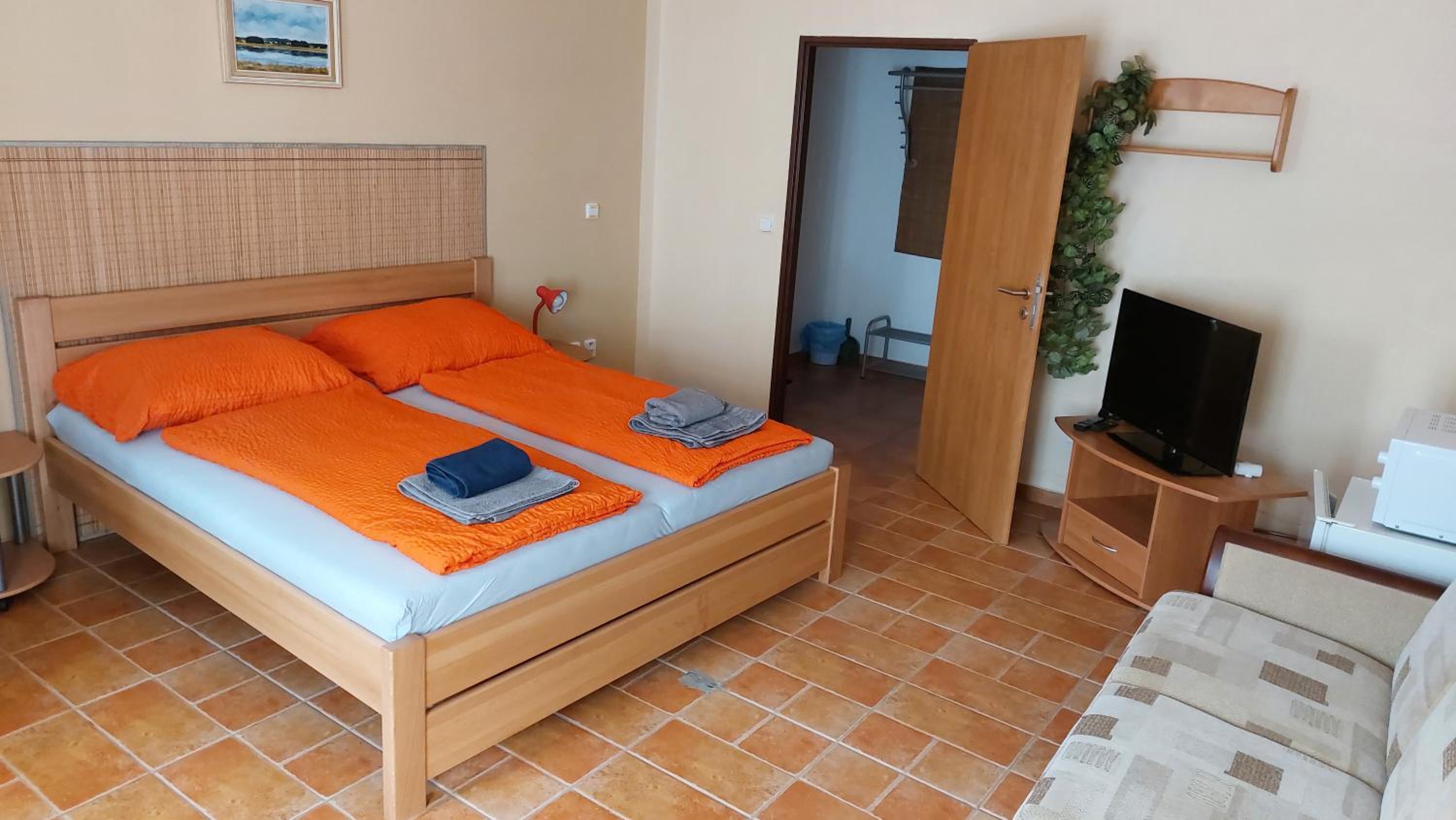 Double Room photo 1