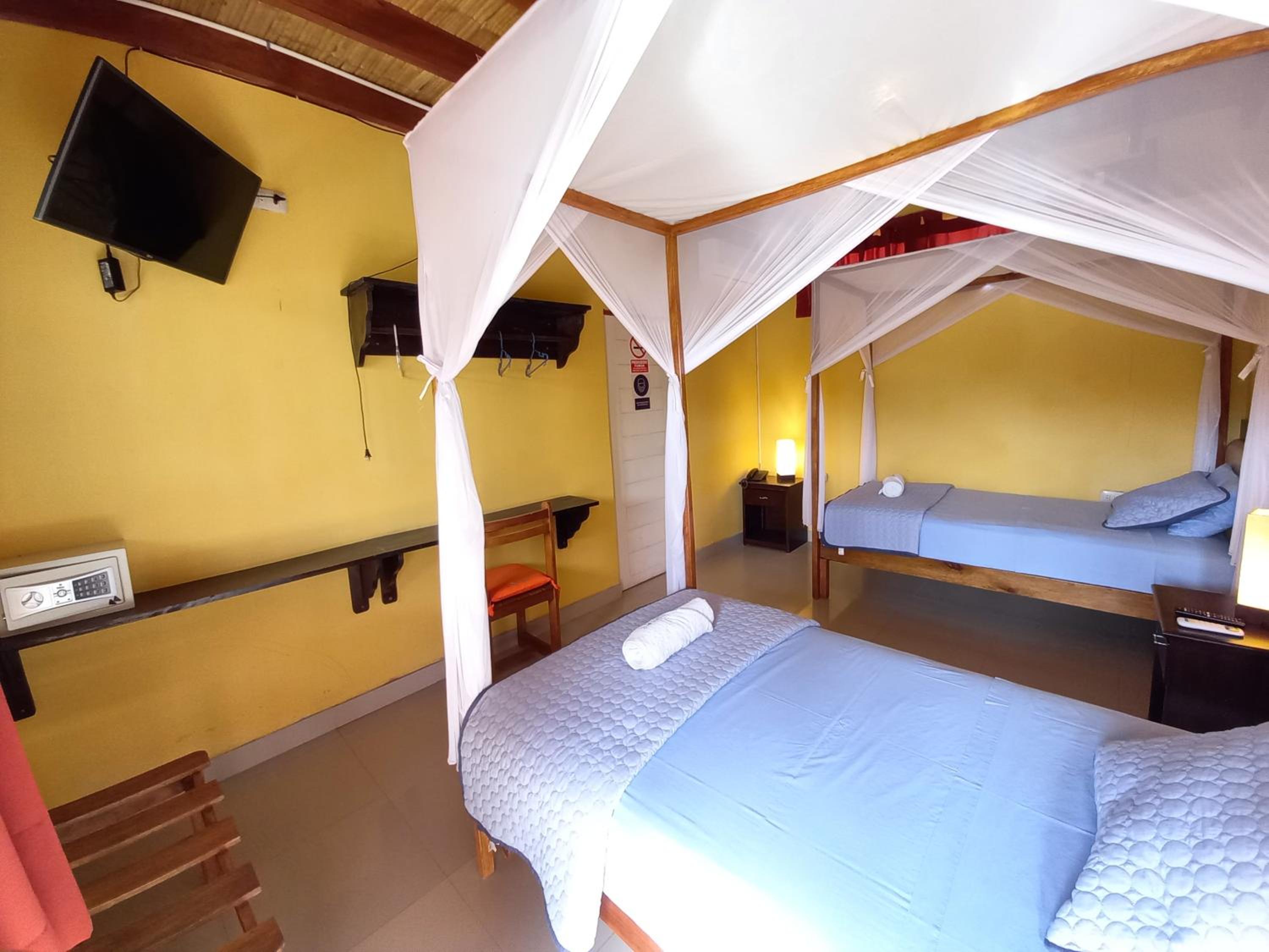 Twin Room photo 1